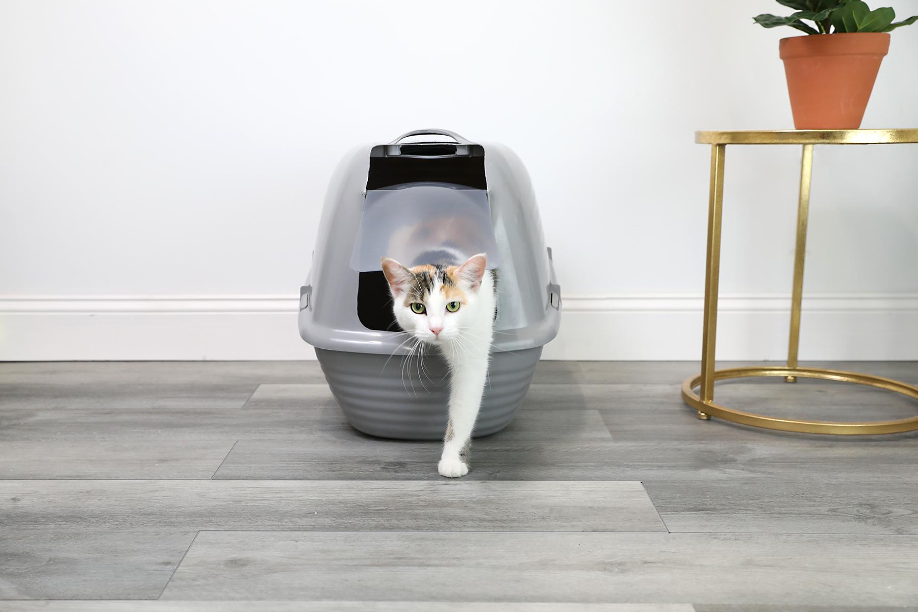 Arm & Hammer 22191 Cat-Litter-Box - View #2