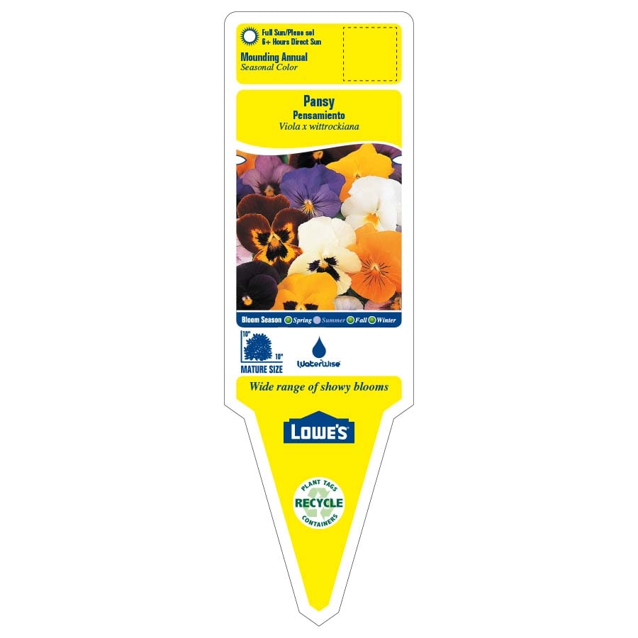 Lowe's NURSERY annuals - View #2