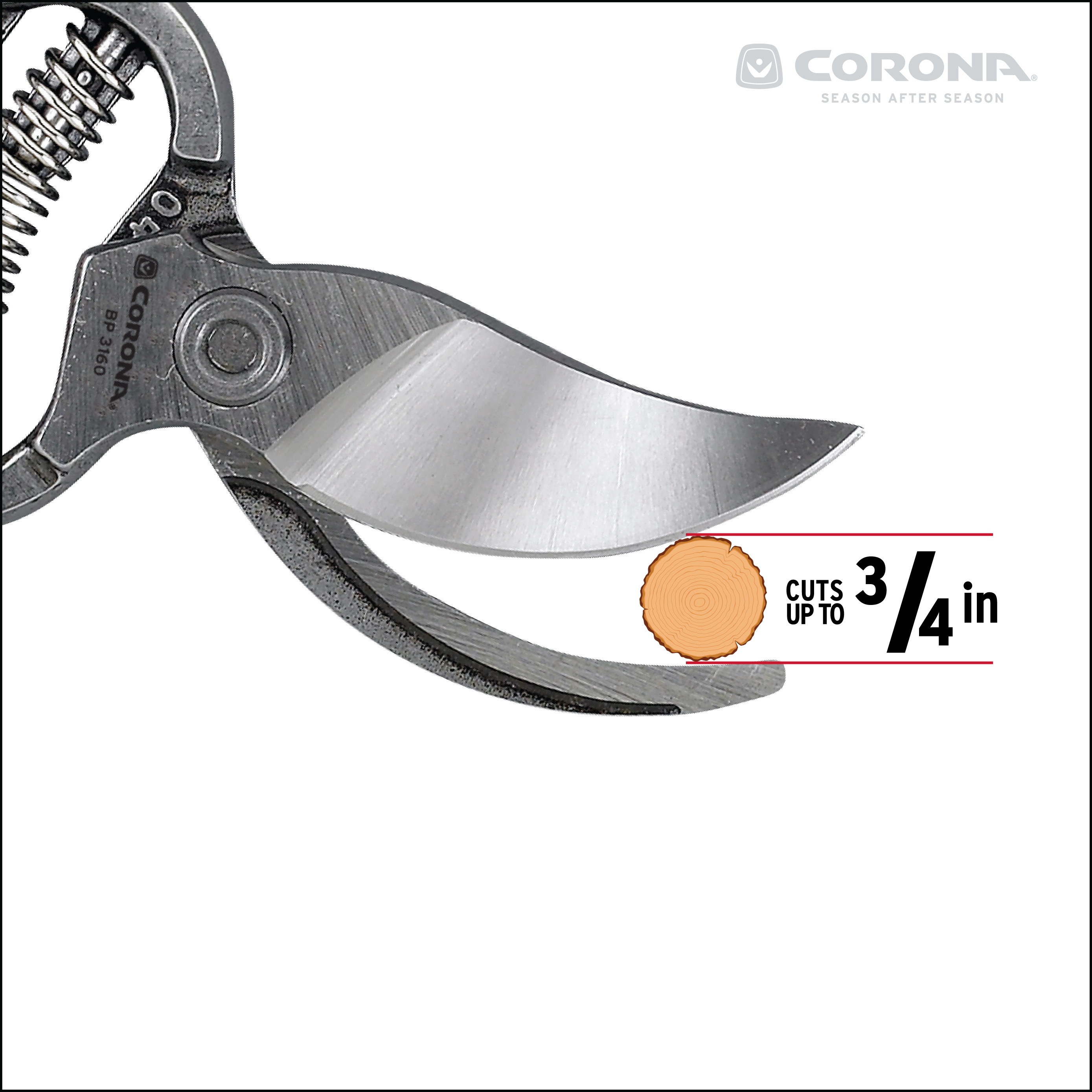 Corona BP 3160 Hand-Pruners - View #8