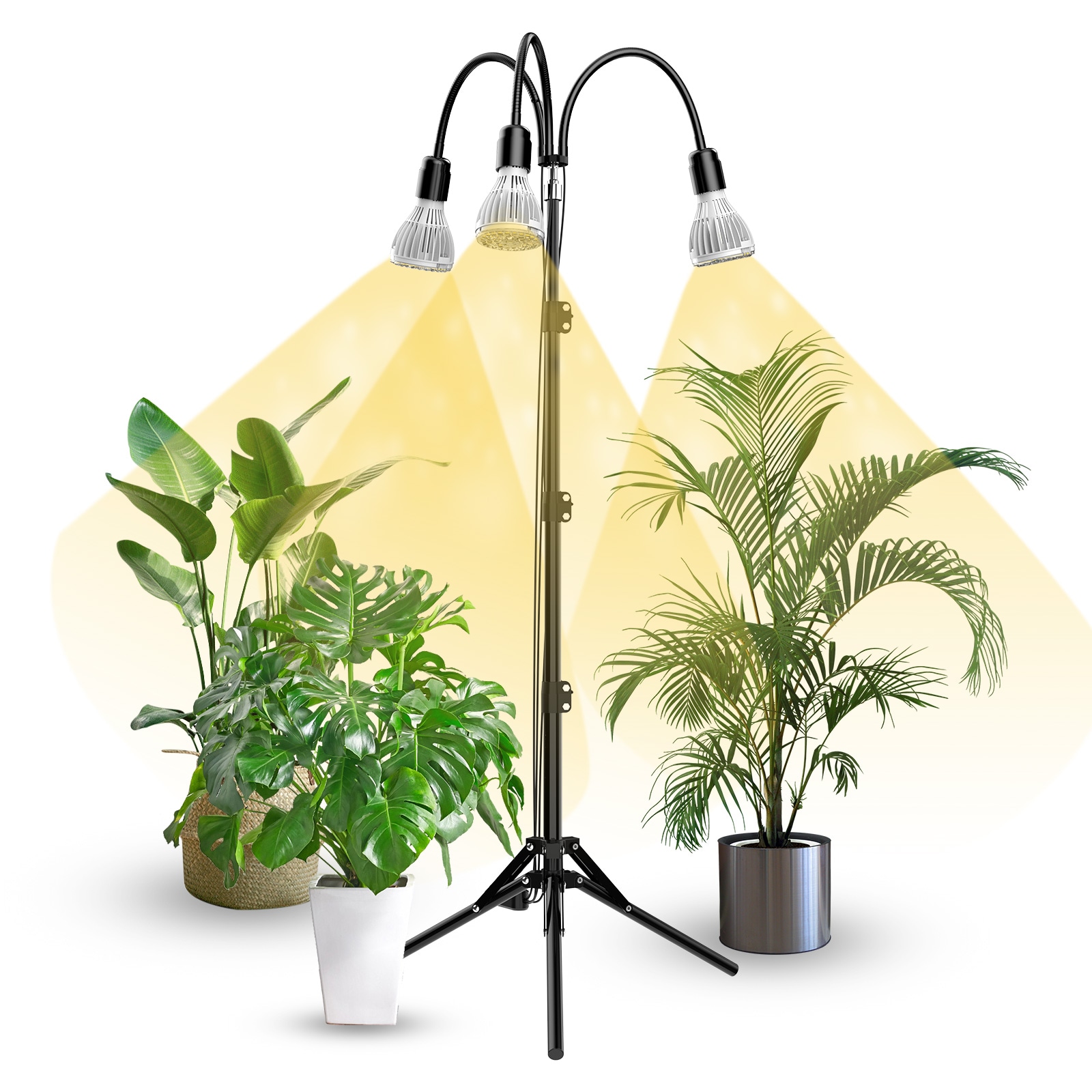 Grow lights for indoor plants outlet lowes