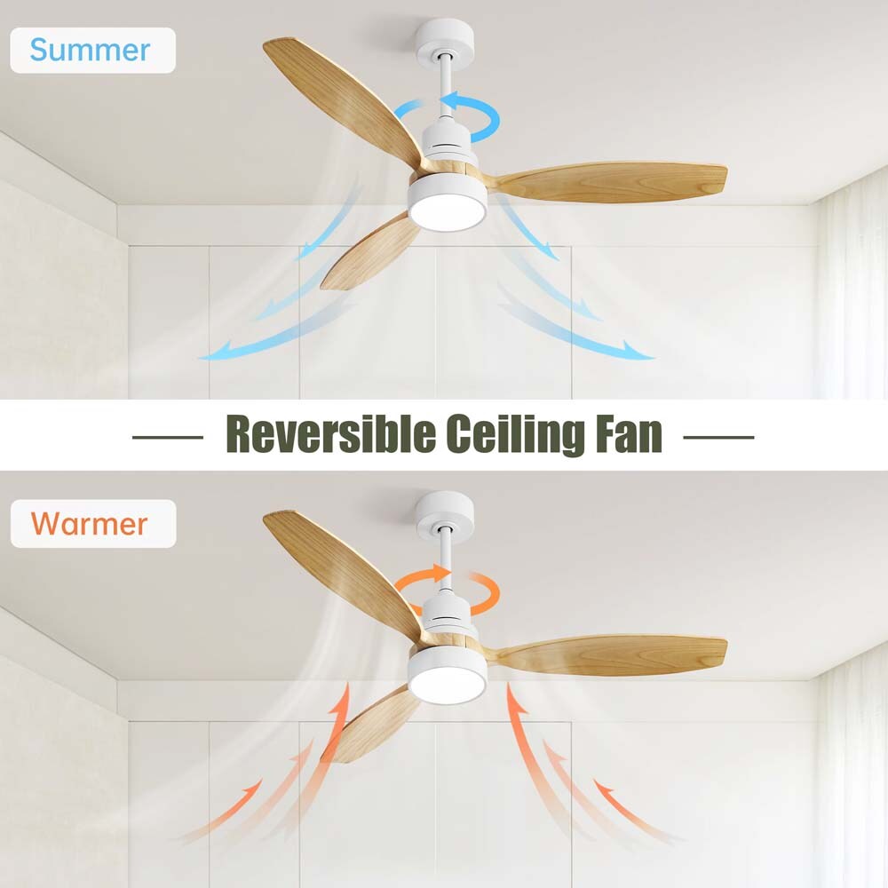  W882P337982L Ceiling-Fans - View #3