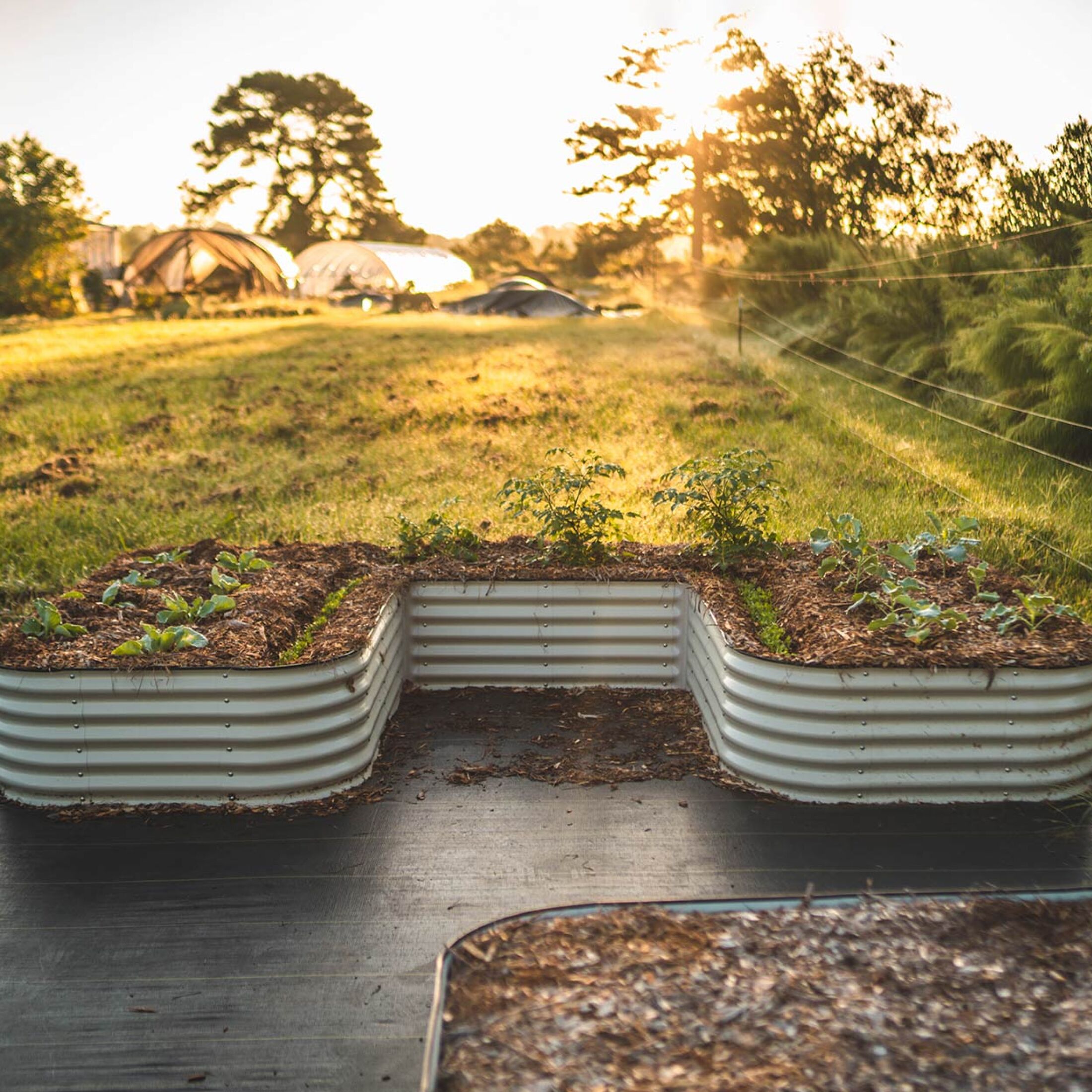 Vego Garden VBUJB17G Raised-Garden-Beds - View #2