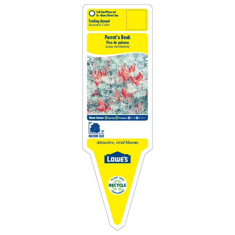 Lowe's 53376 annuals - View #2