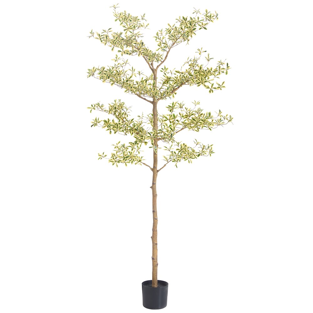 Allstate Floral LTP933-GR/VG 72-in Green Variegated Indoor Floor Fir Artificial tree