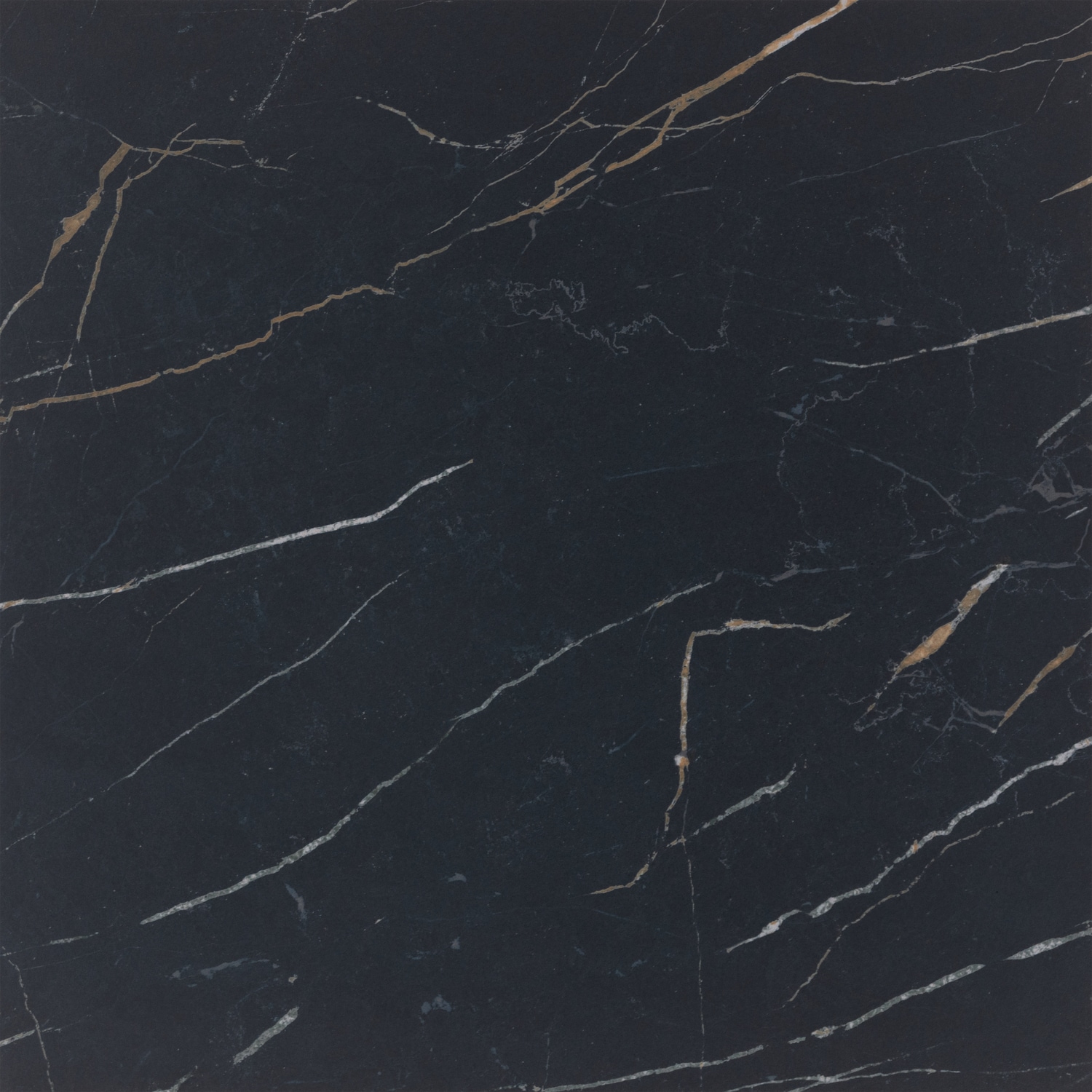 Daltile PT2424241PF Ceramic-Tile - View #5