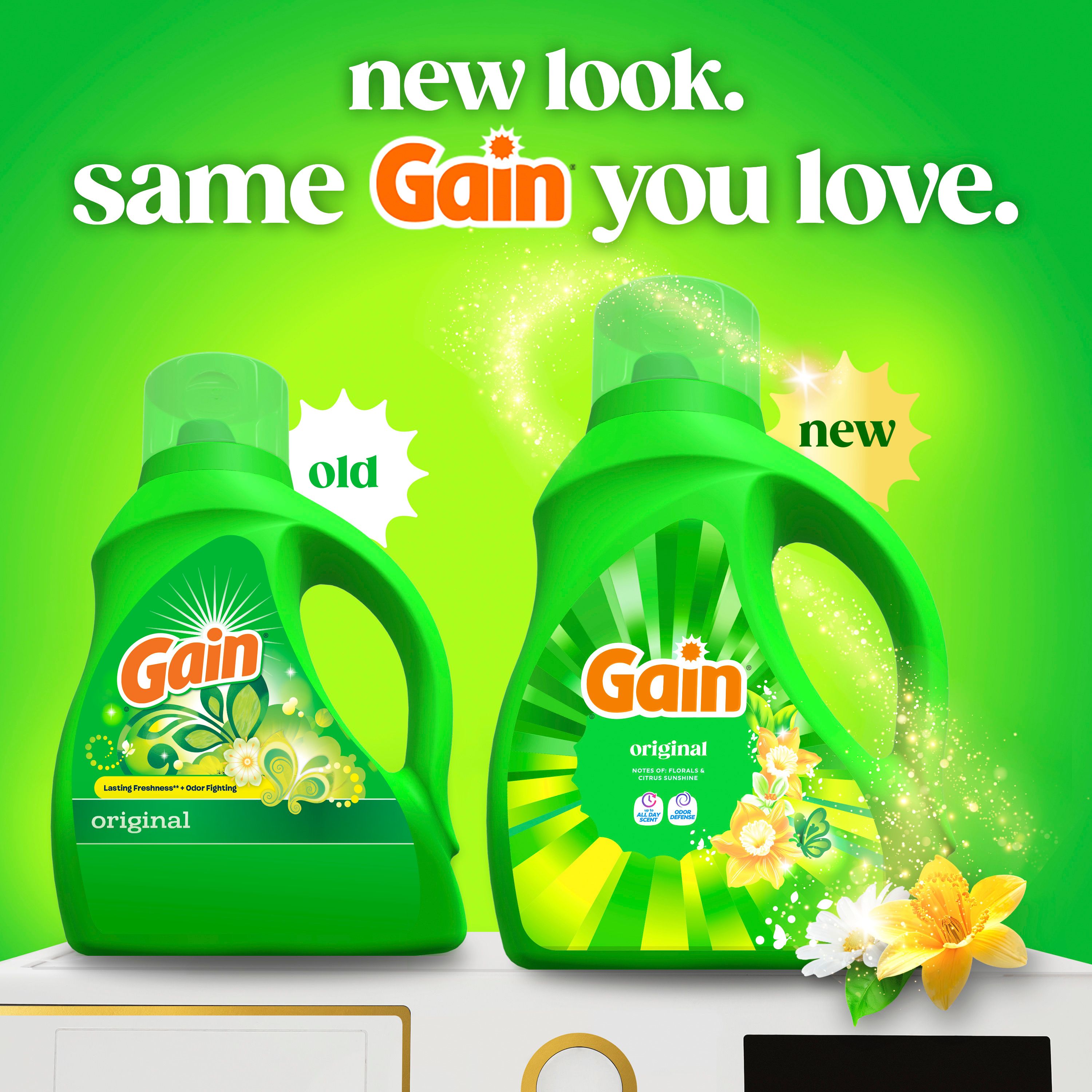 Gain 3077222593 Laundry-Detergent - View #2