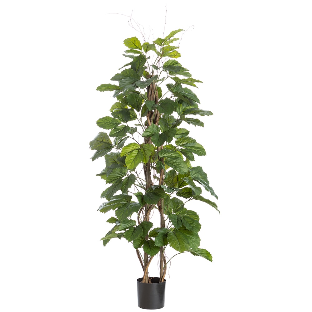 Allstate Floral LTT105-GR 70-in Green Indoor Floor Fir Artificial tree