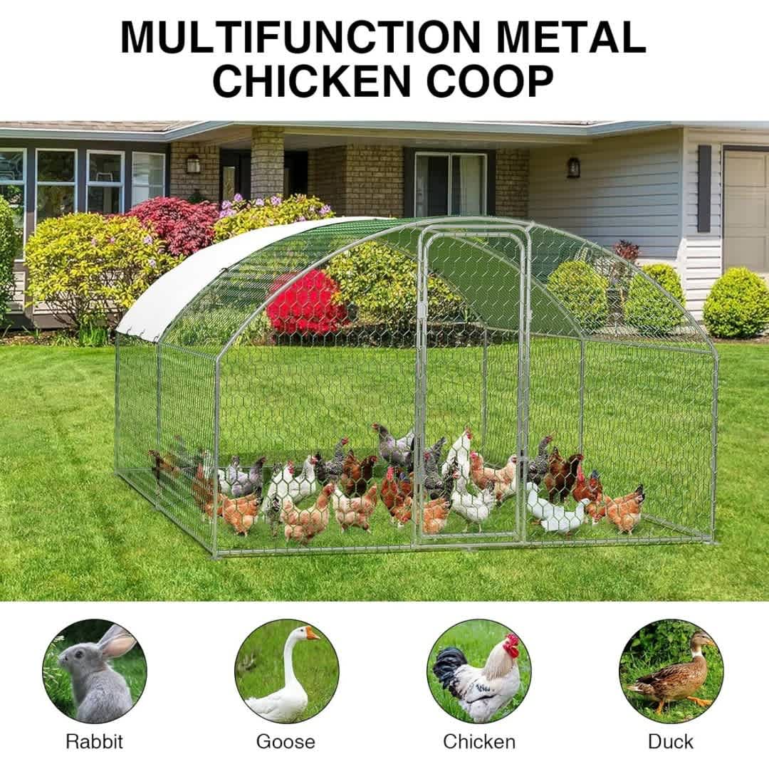 Qeetex GGL-PHO-33J6K8GY Chicken-Coops-Rabbit-Hutches - View #5