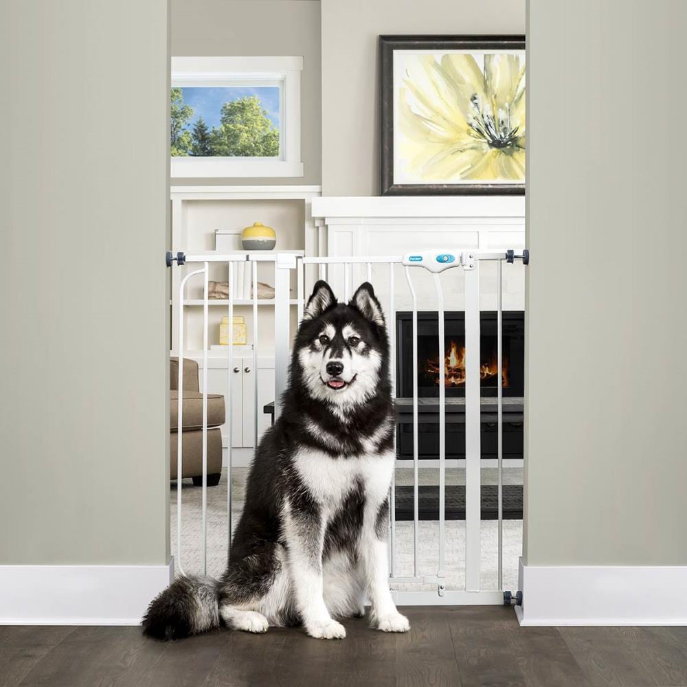 Carlson pet shop products gate extension