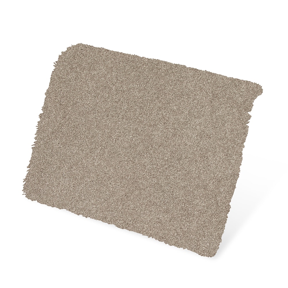 STAINMASTER SS029-L002-0808 Carpet-Samples - View #3