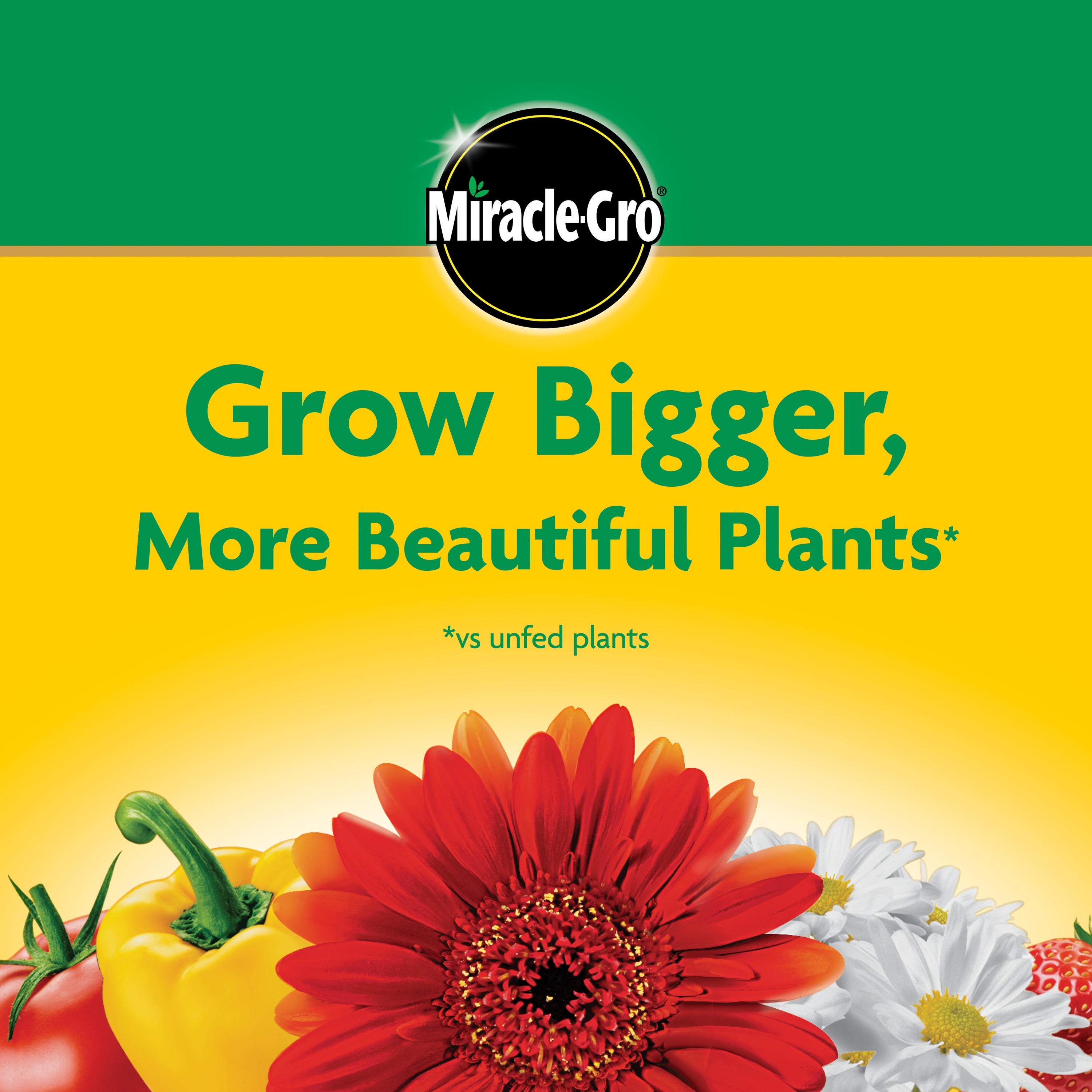 Miracle-Gro 3000992 Plant-Food - View #7