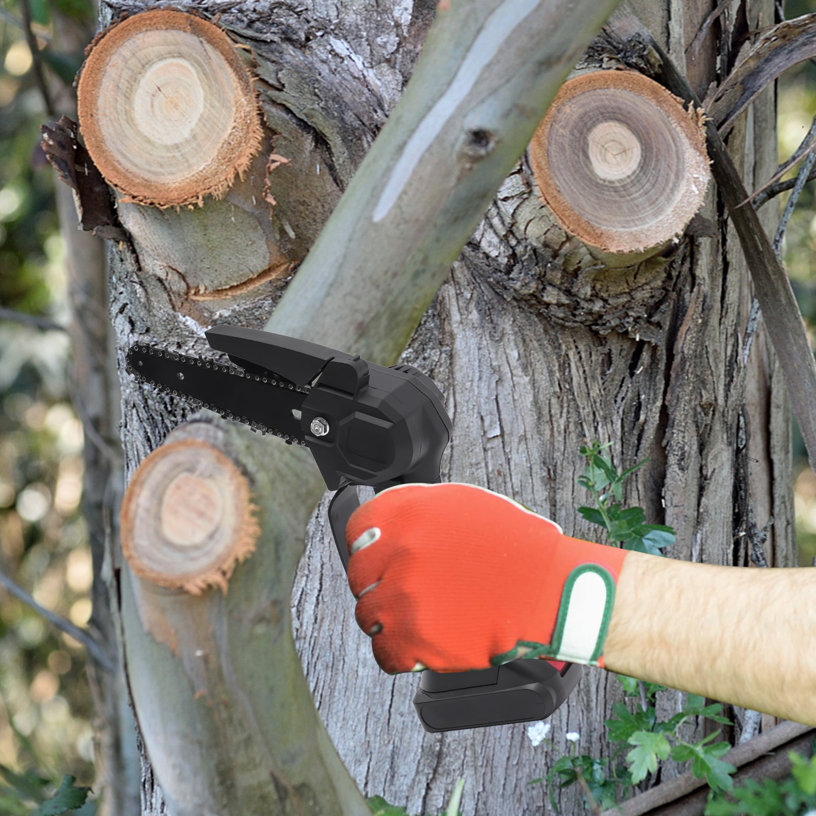 CNCEST YLNXSZA2USML8 Pole-Pruning - View #14