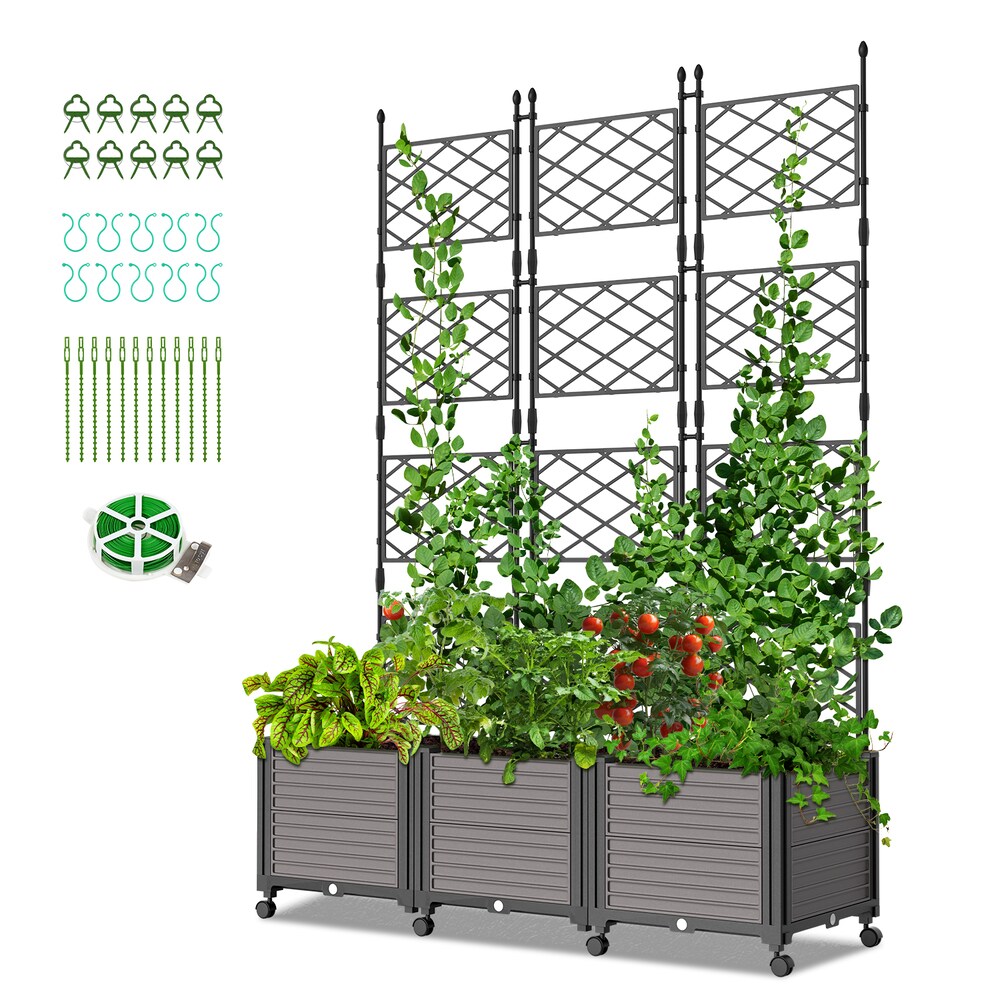 Esazn N1600250-LARGE Raised-Garden-Beds - View #5