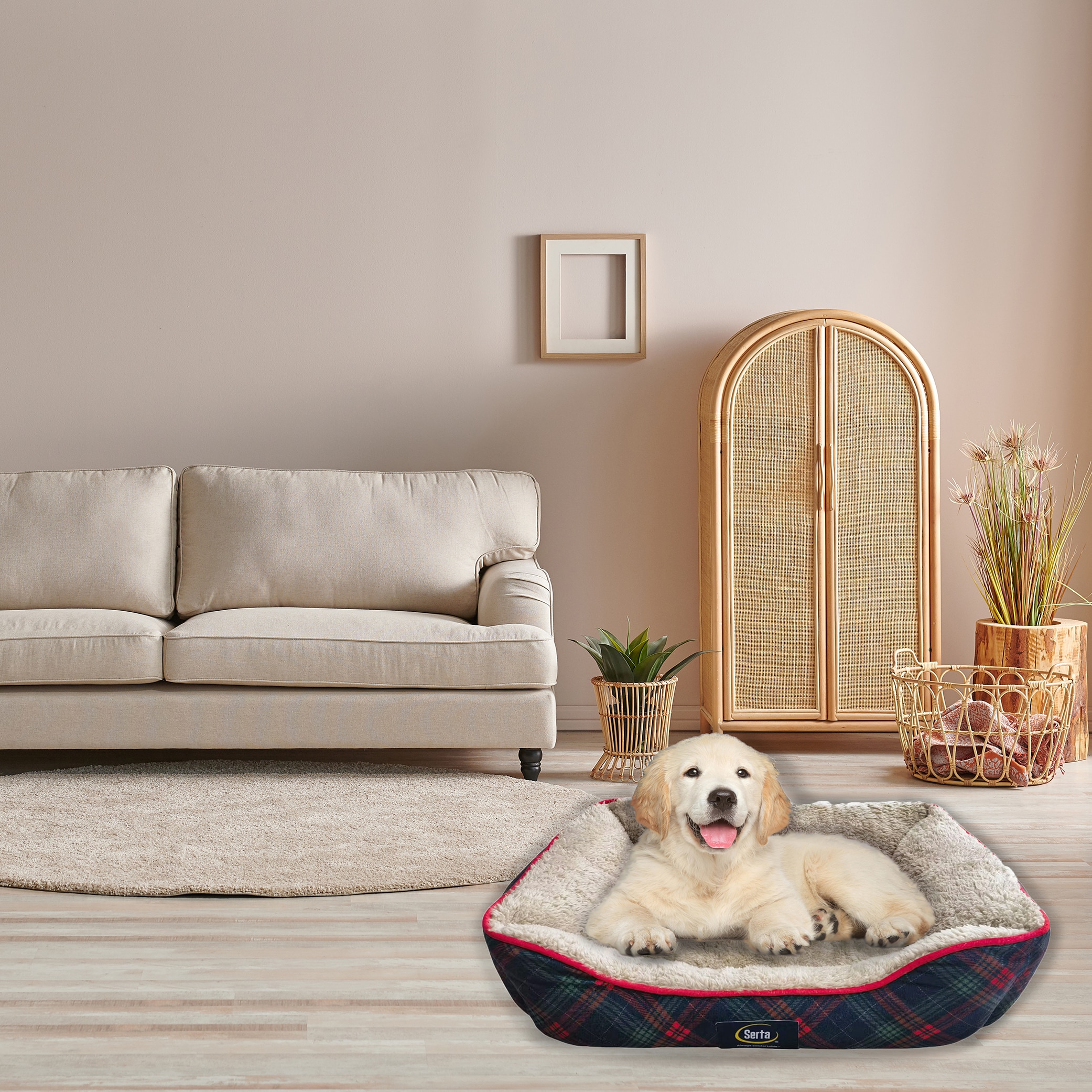 Serta small 2024 sofa pet bed