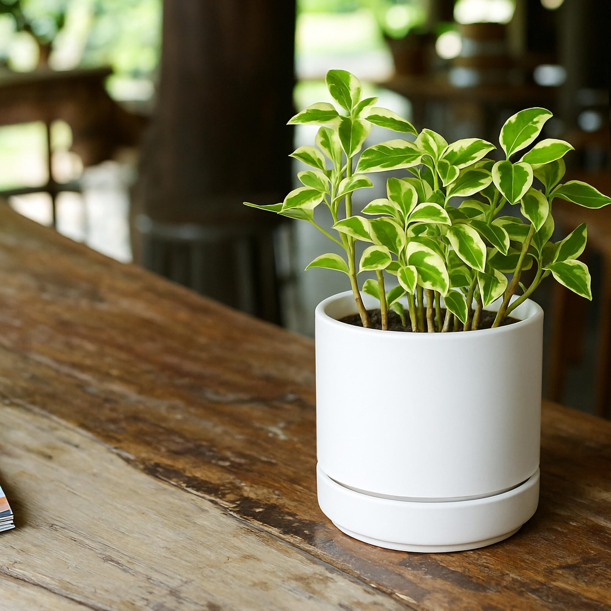 ITOPFOX LIT0610I009 Planter-Window-Box - View #6