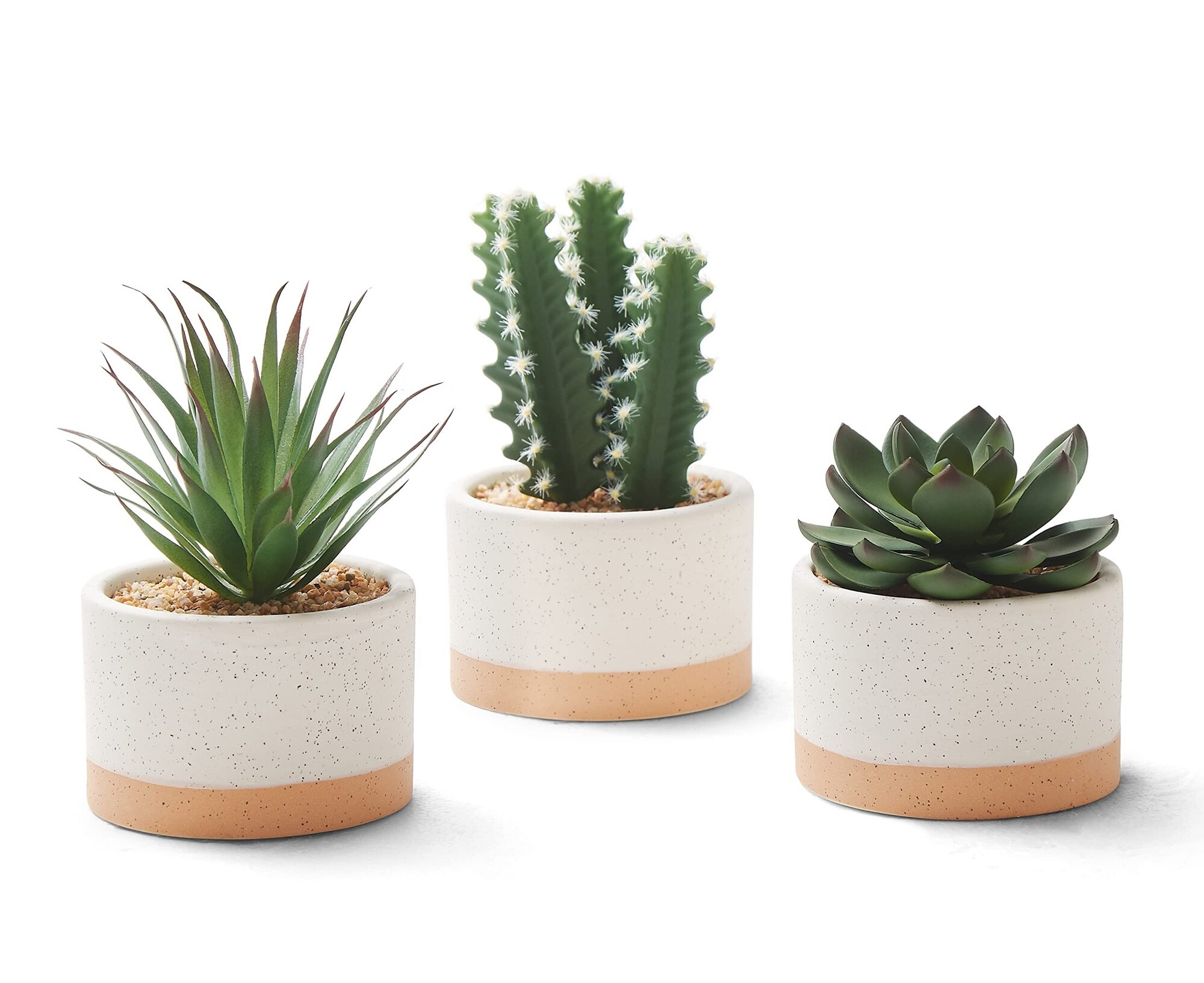 Phewnyzo Artificial Succulent Plants in Ceramic Pots Set of 3 Faux Assorted Succulents for Home Office Desk Bedroom Living Room Decoration