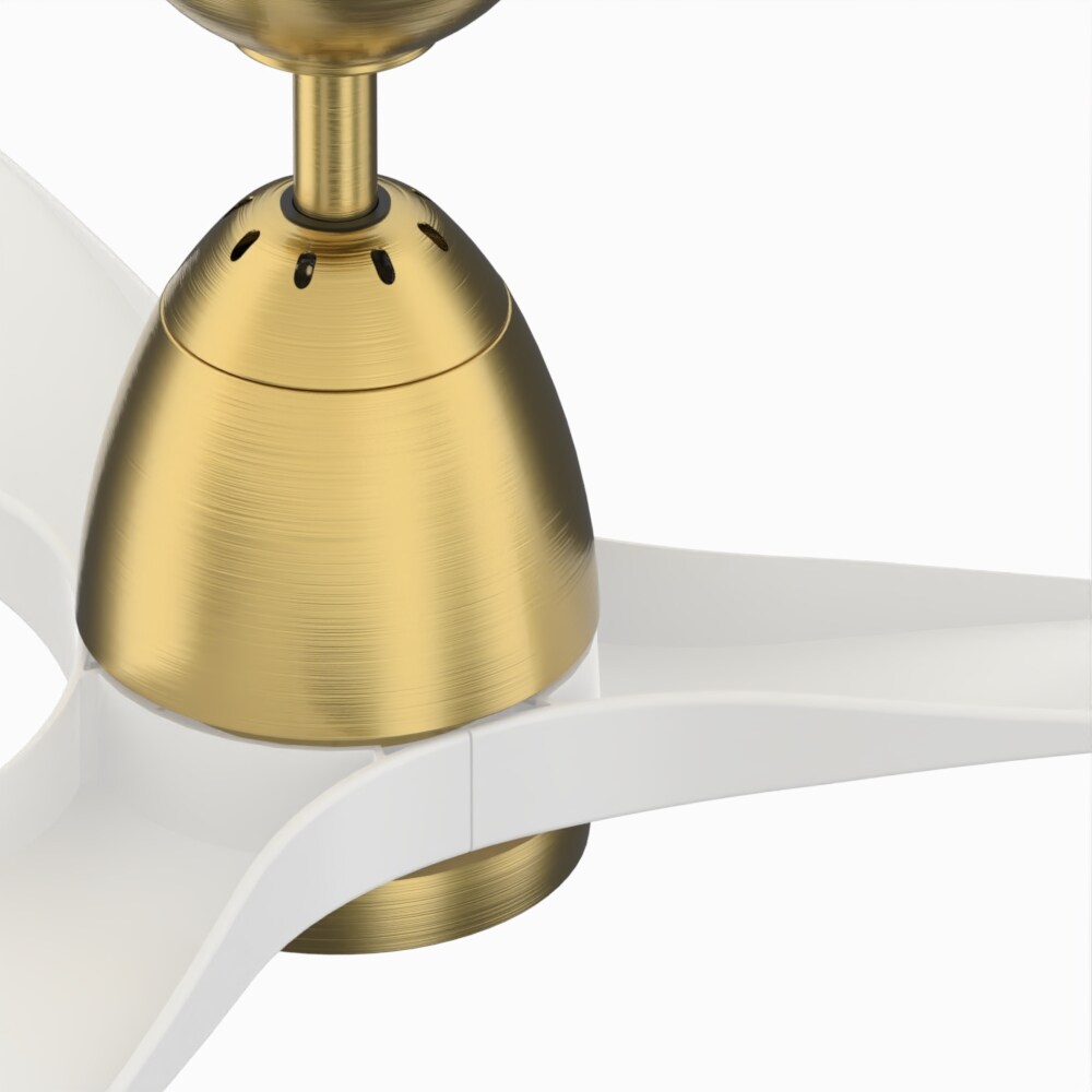 Fanimation Studio Collection LP8333LBS Ceiling-Fans - View #5