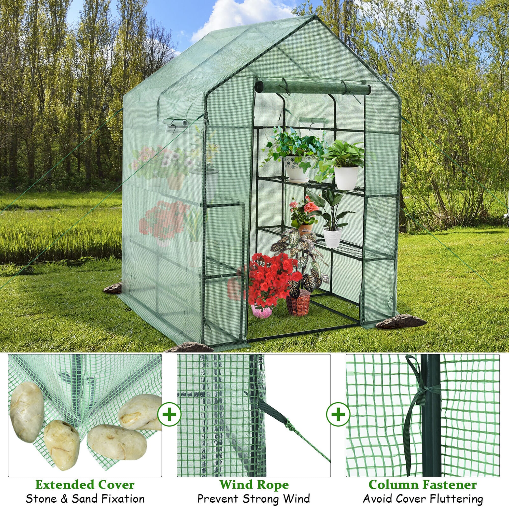 WELLFOR AY-558GH greenhouses - View #2