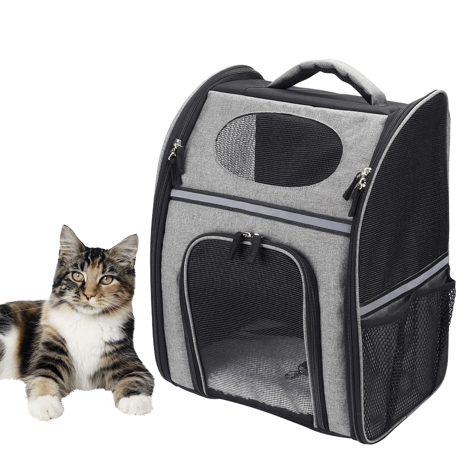 PETSFIT Two-Way Placement Dog Carrier Airline Approved Small Animals  Carriers for Kittens