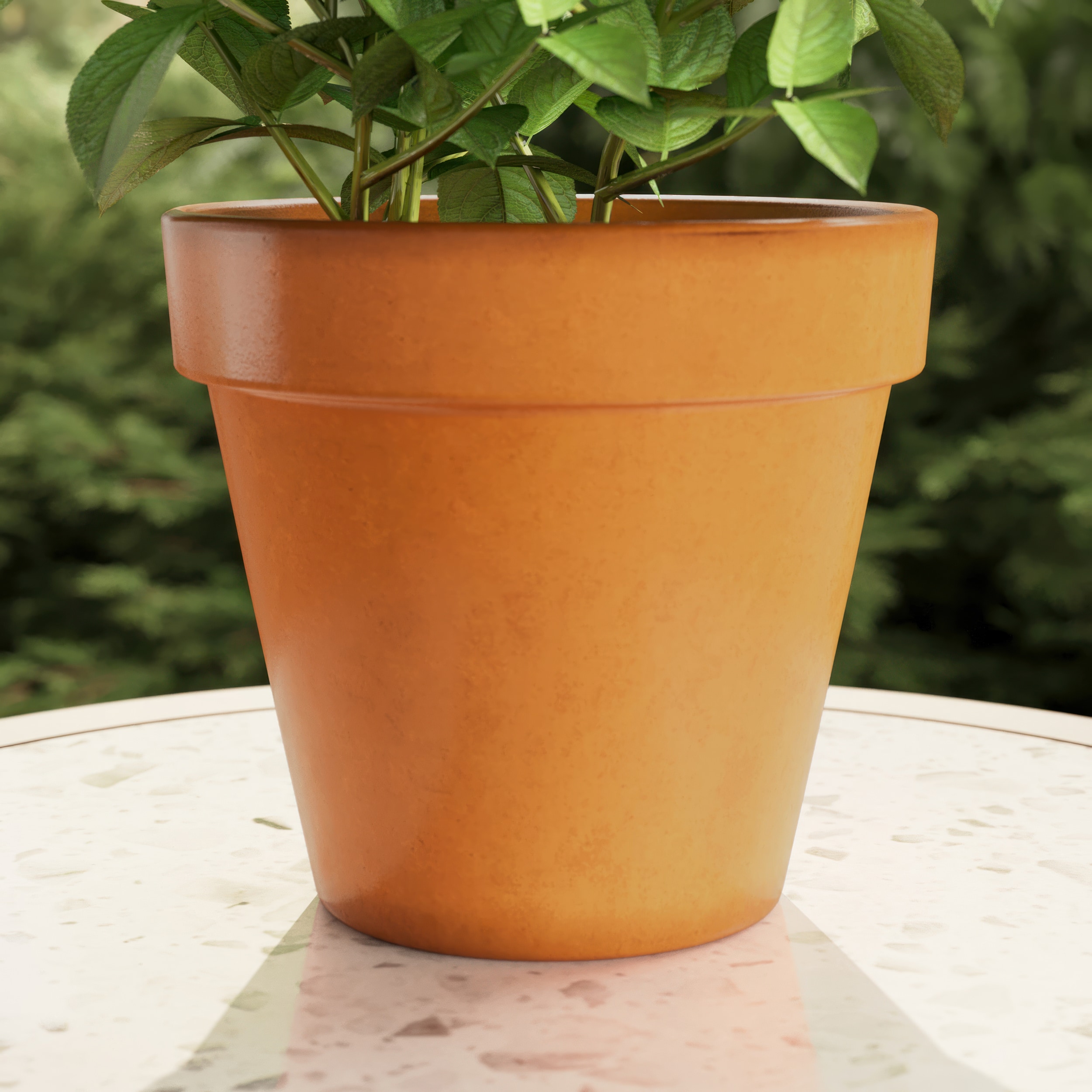 Artevasi DP-SP-01110 Planter-Window-Box - View #3