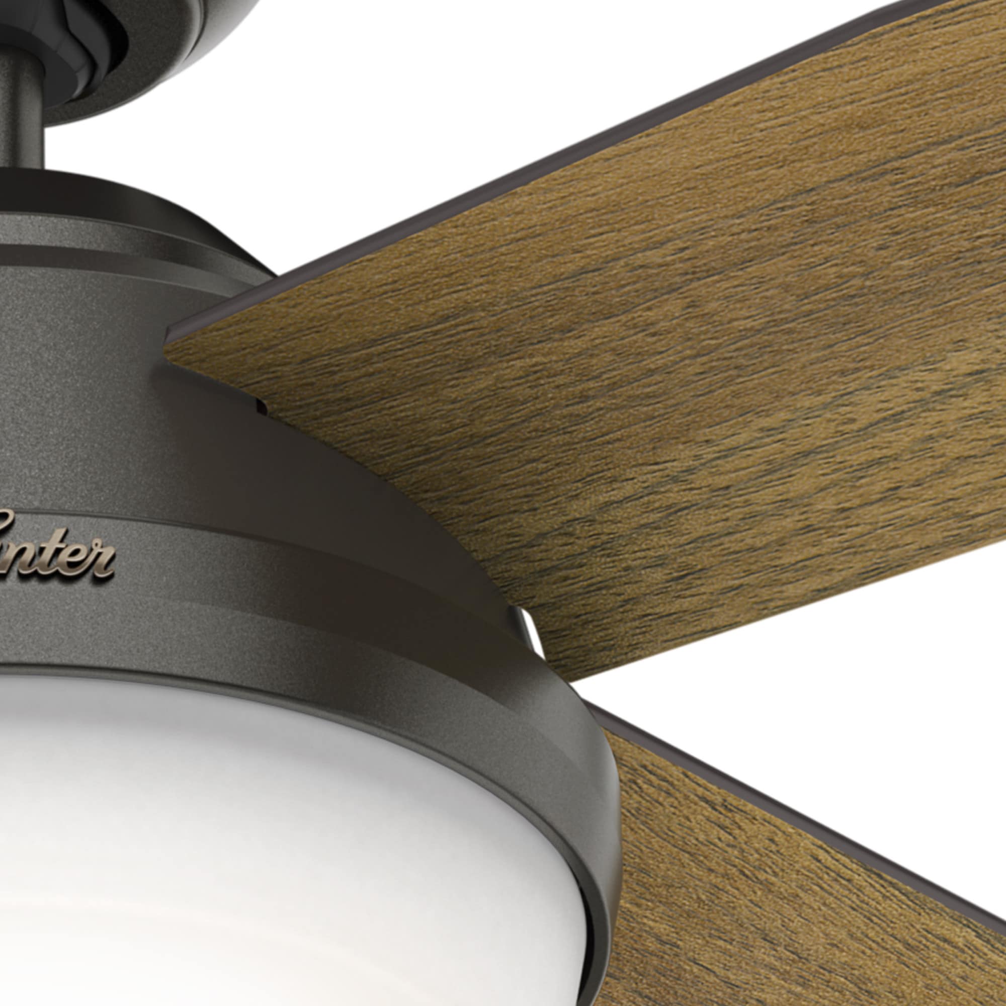 Hunter 59446 Ceiling-Fans - View #8