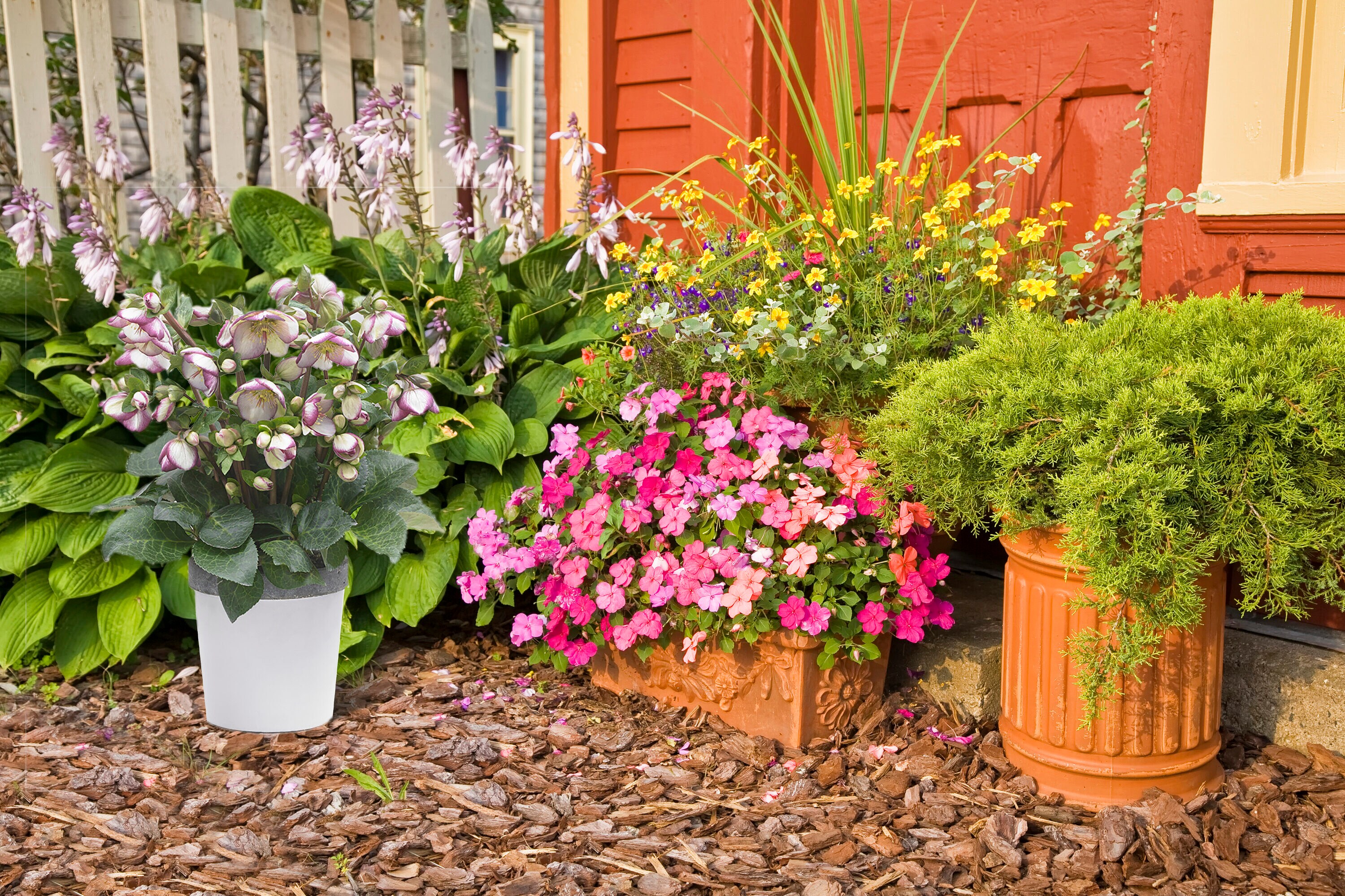  2484 perennials - View #10