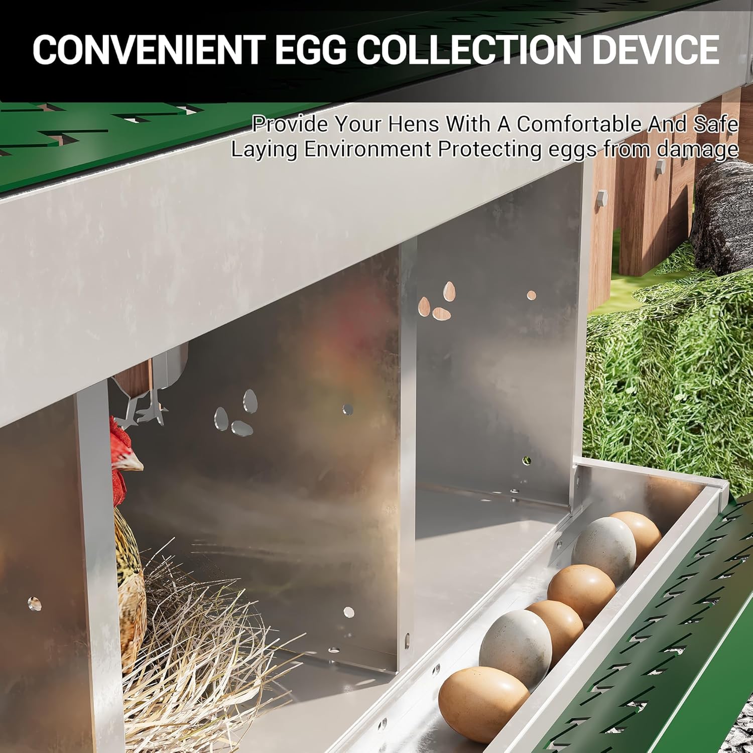 Qeetex GGL-PHO-348SBXYK Chicken-Coops-Rabbit-Hutches - View #8