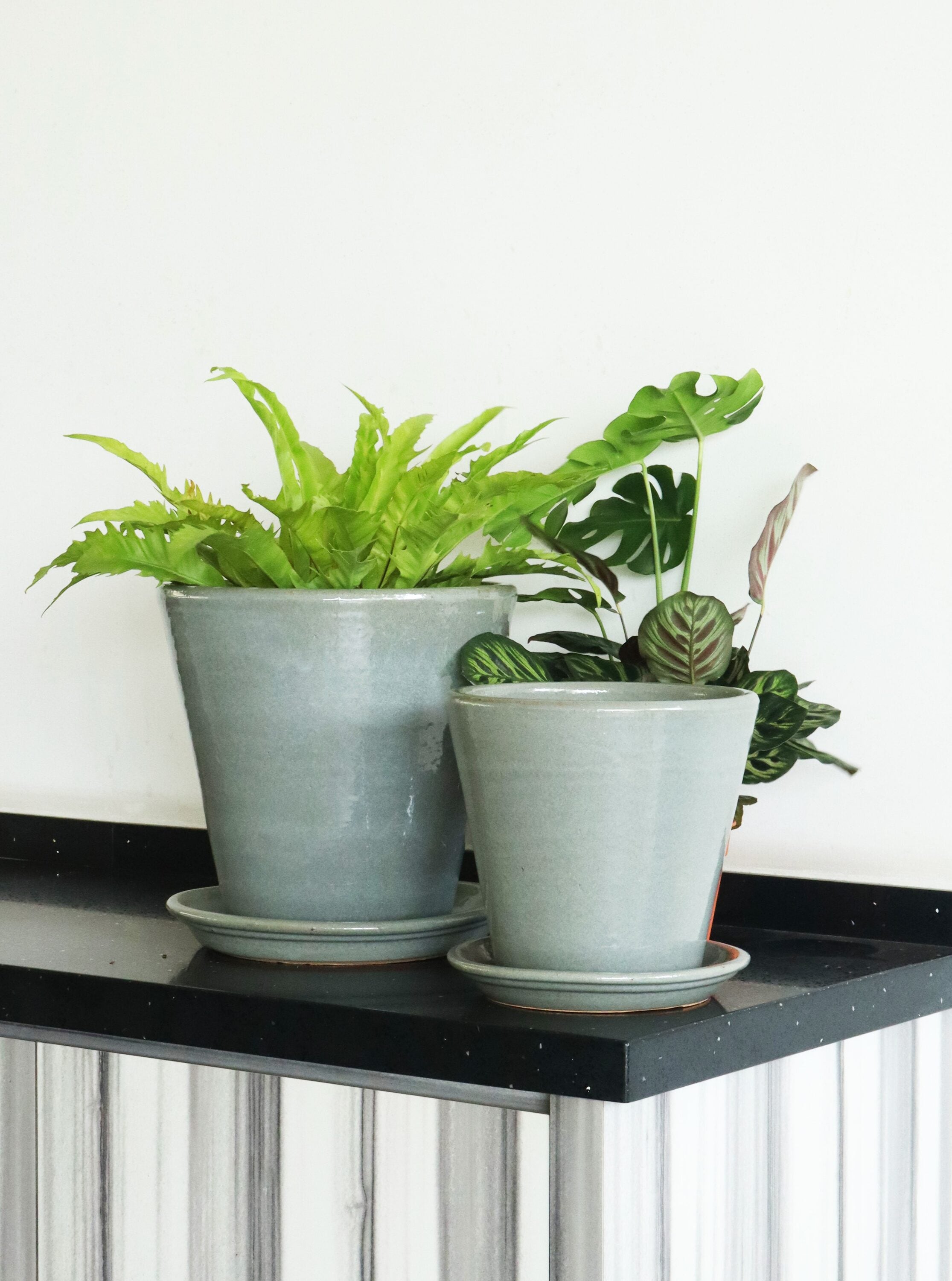 allen + roth GO2025-136 Plant-Saucers - View #4