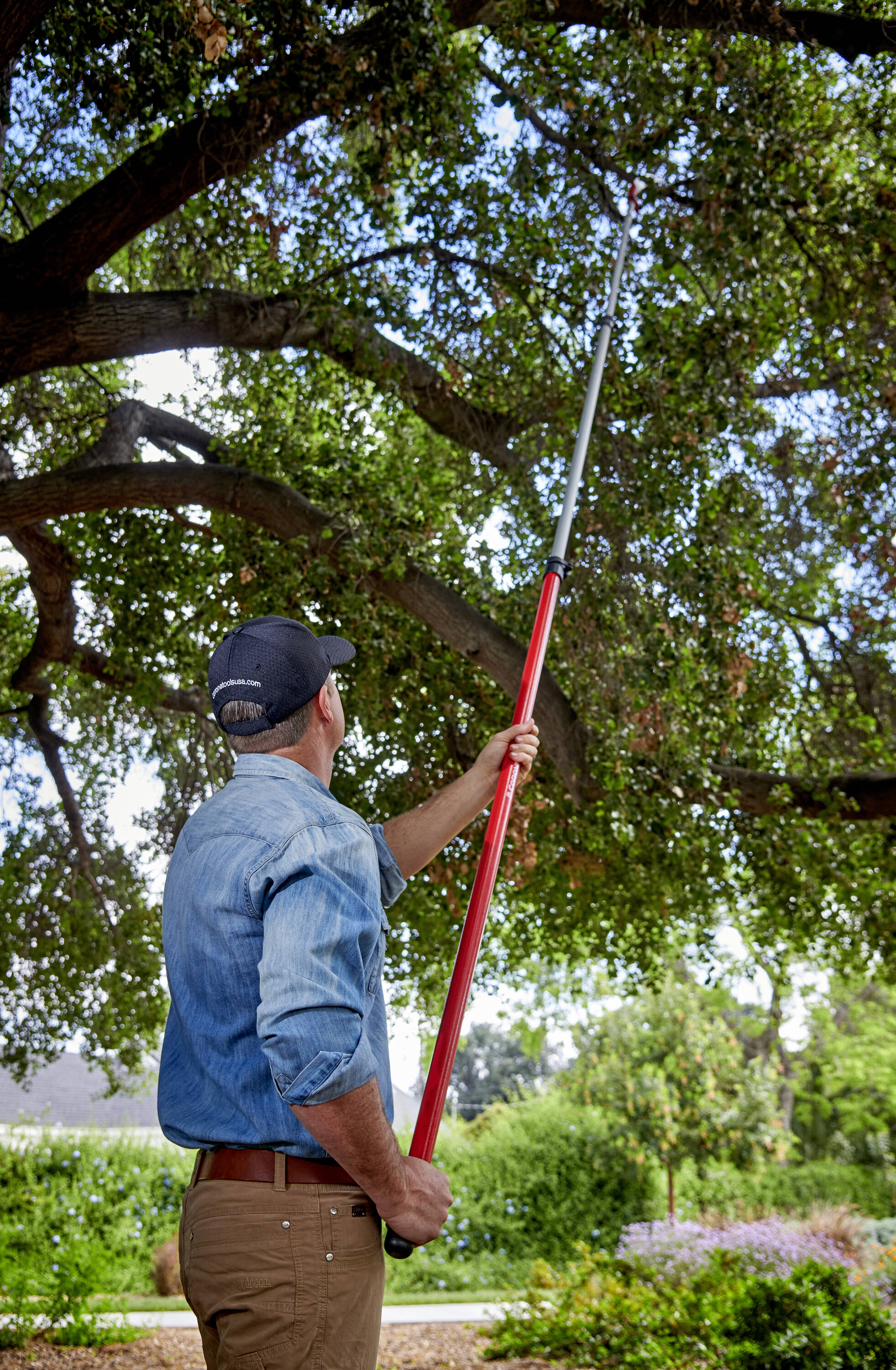 Corona TP13489 Pole-Pruning - View #2