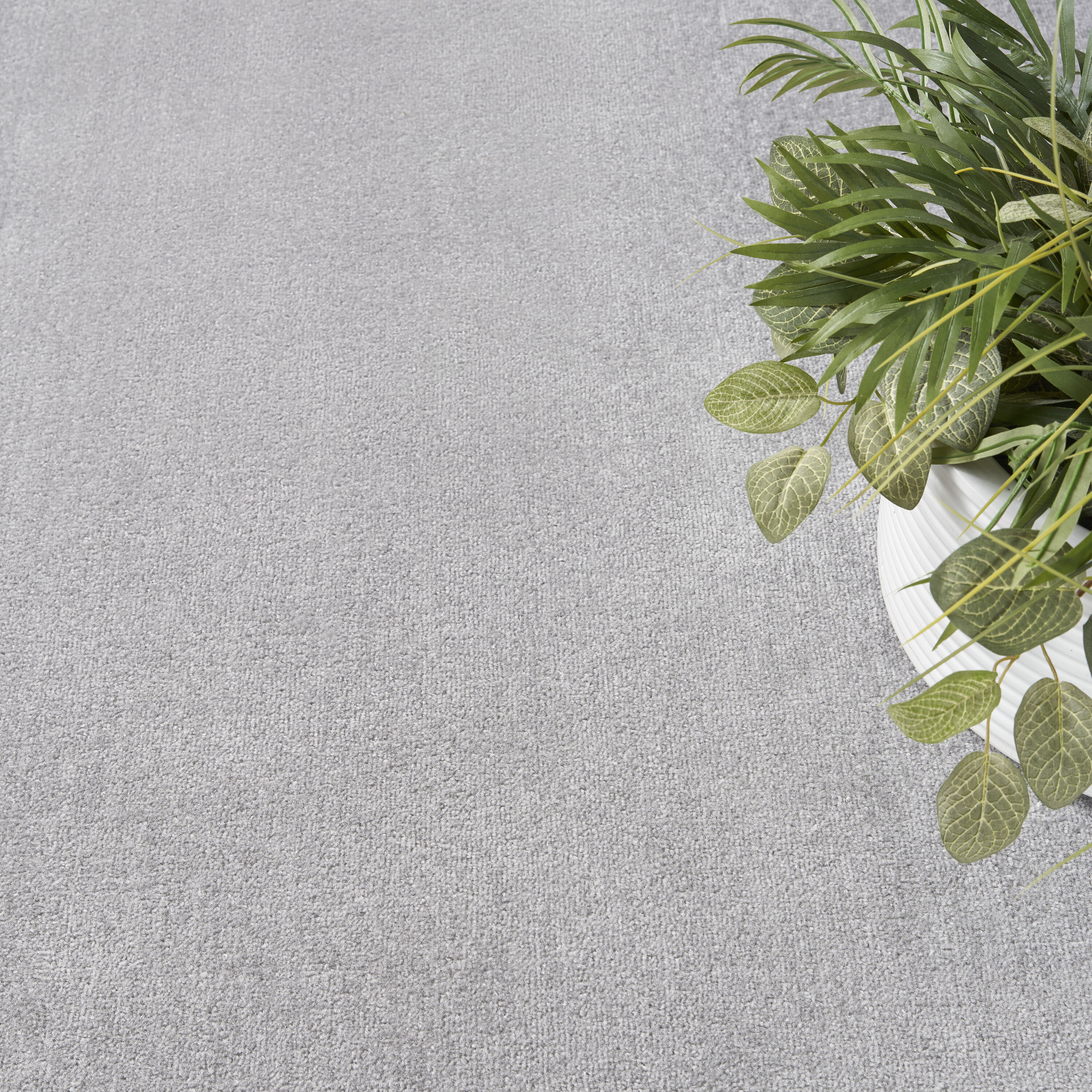 Nourison 099446073013 rugs - View #3