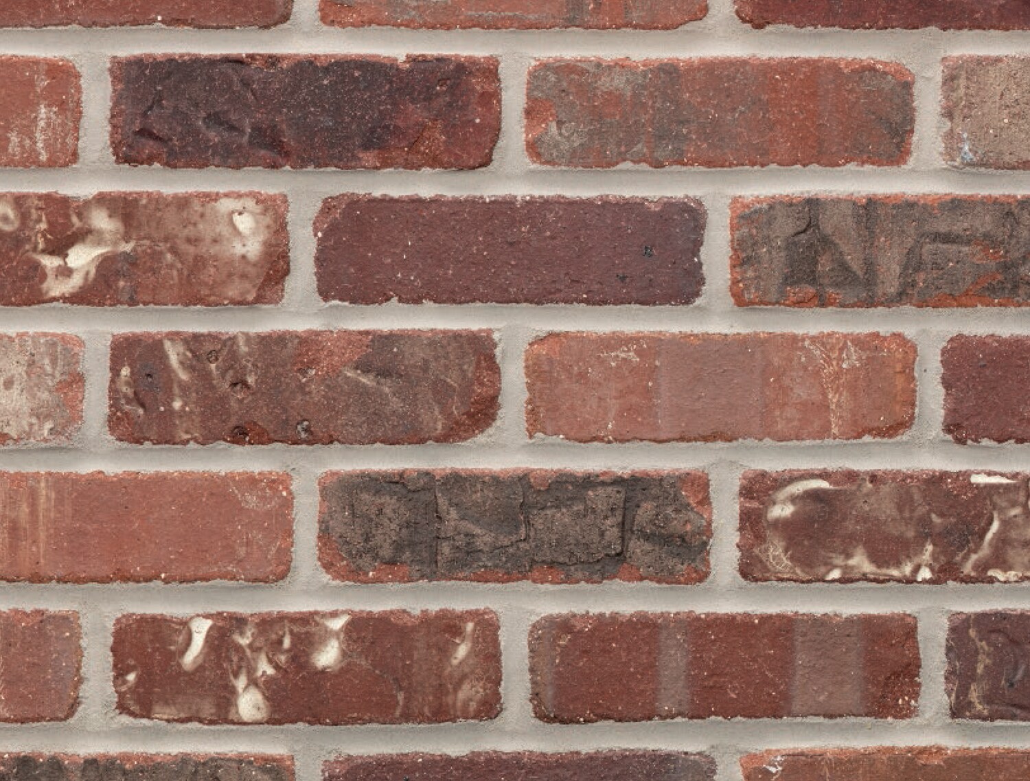 General Shale Providence Thin Brick Stillwater 2-in x 8-in Tumbled Natural Stone Ledgestone Brick Patterned Wall Tile (7.3-sq. ft/ Carton)