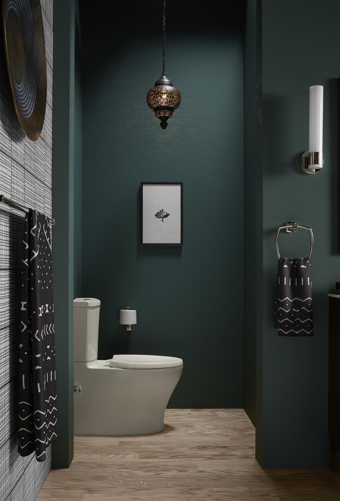 KOHLER K-6355-0 toilets - View #6