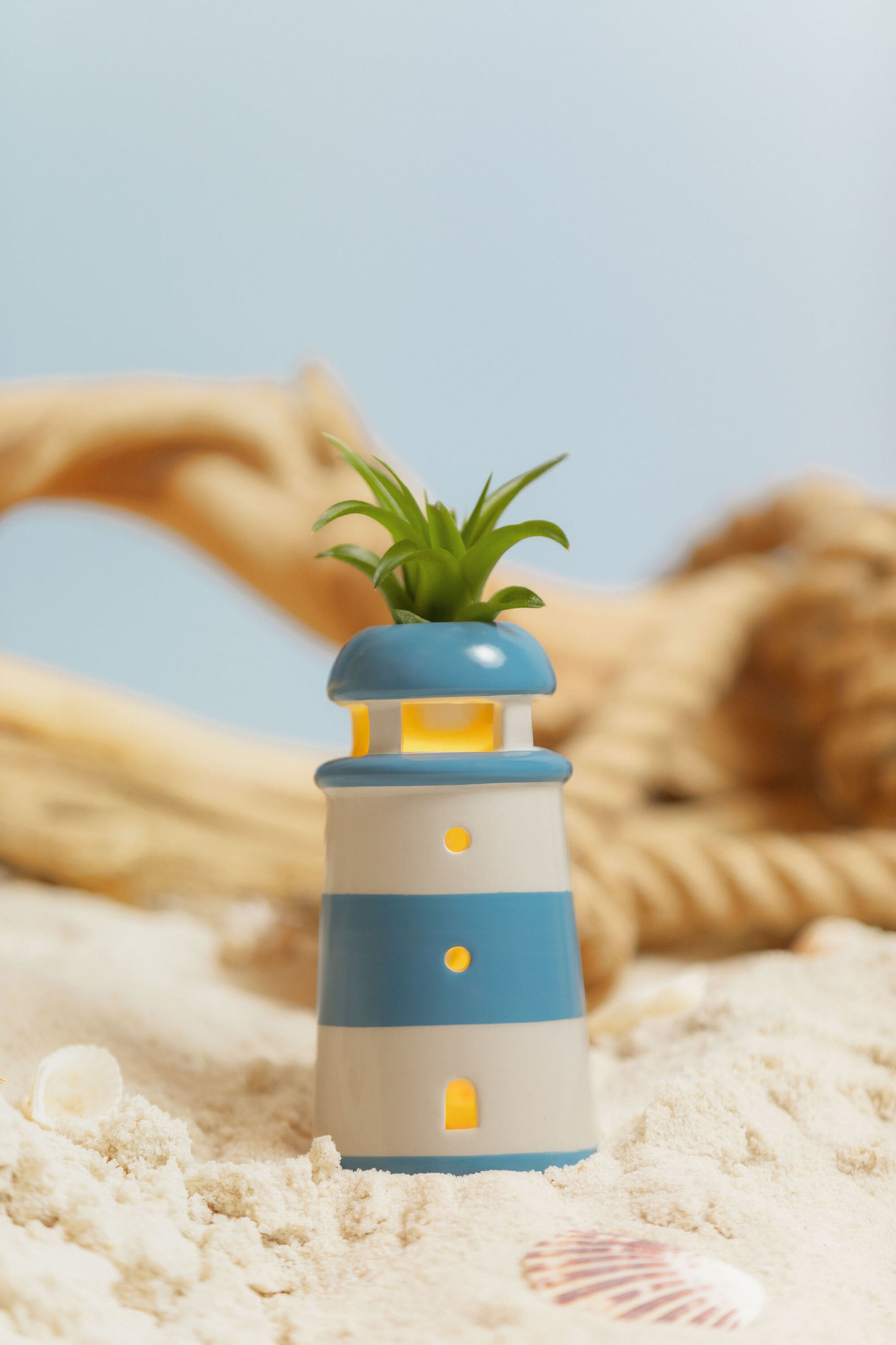 LiveTrends ASB08938 hseplants - View #3