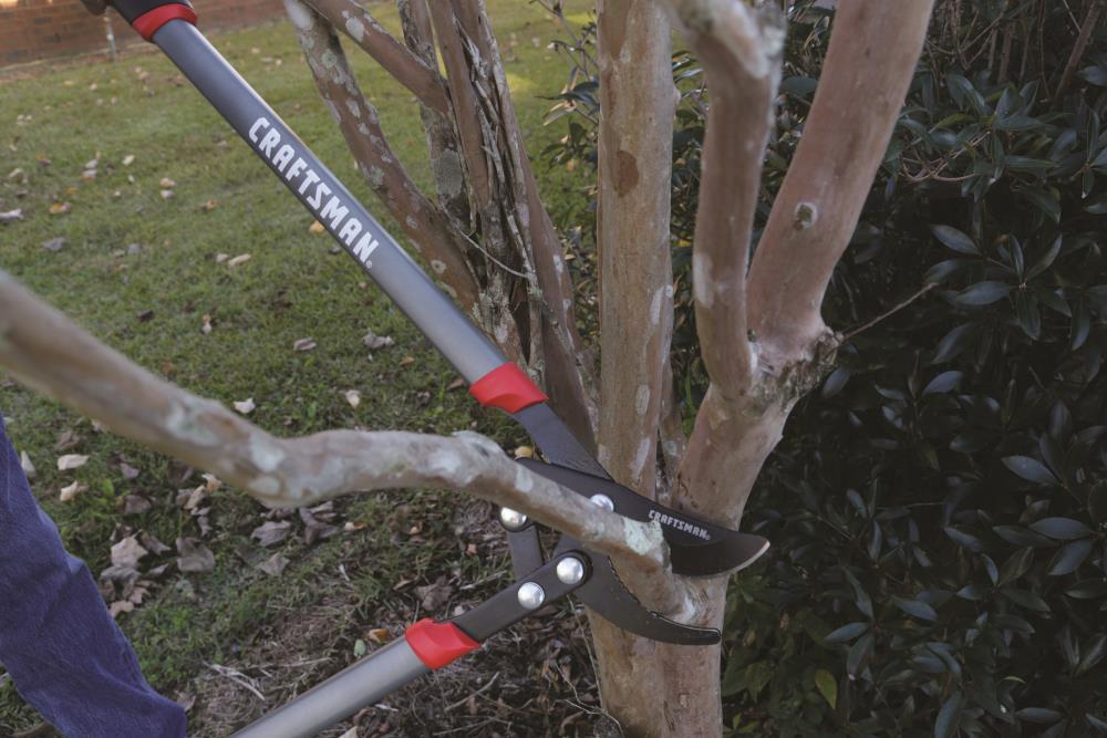 CRAFTSMAN CMXMCBA0200  - View #2