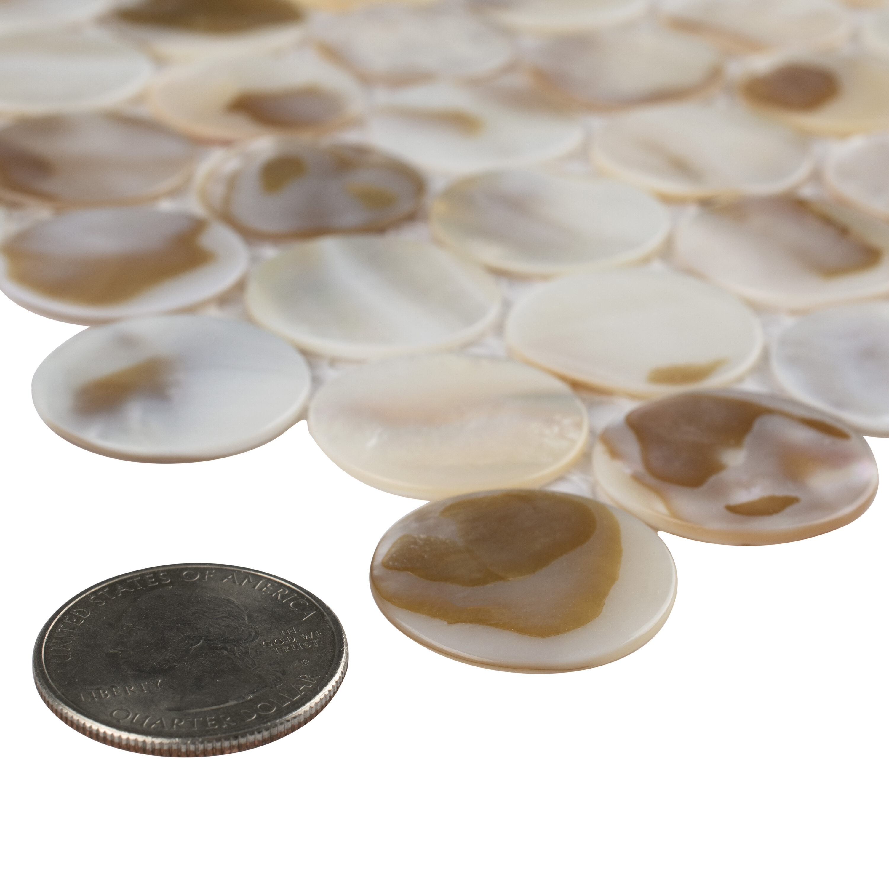 Affinity Tile S1GDXCPNN Tile-Samples - View #2