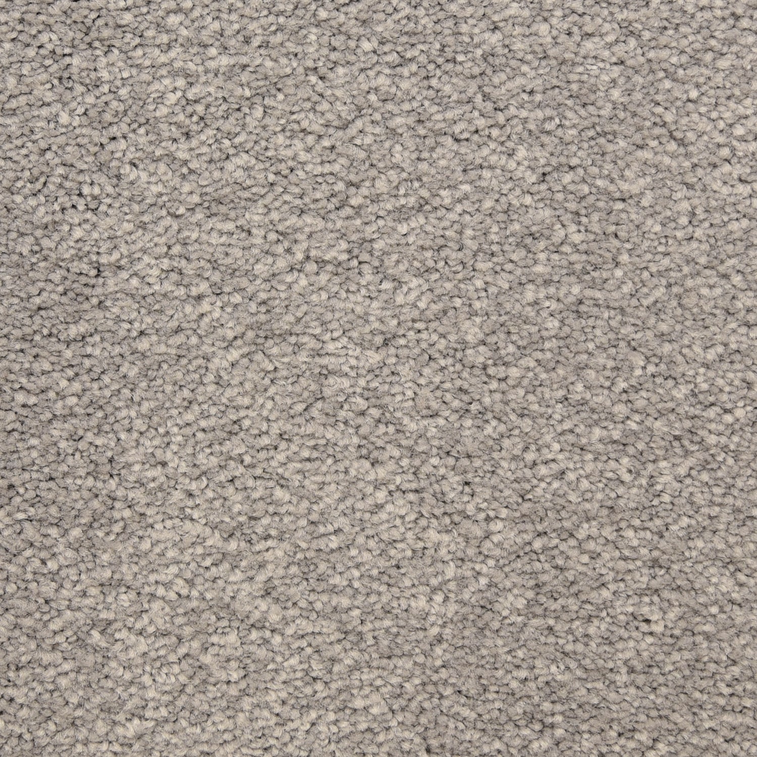 STAINMASTER S846514GATEWAY-5205 (Sample) LiveWell Privy Gateway Textured Carpet