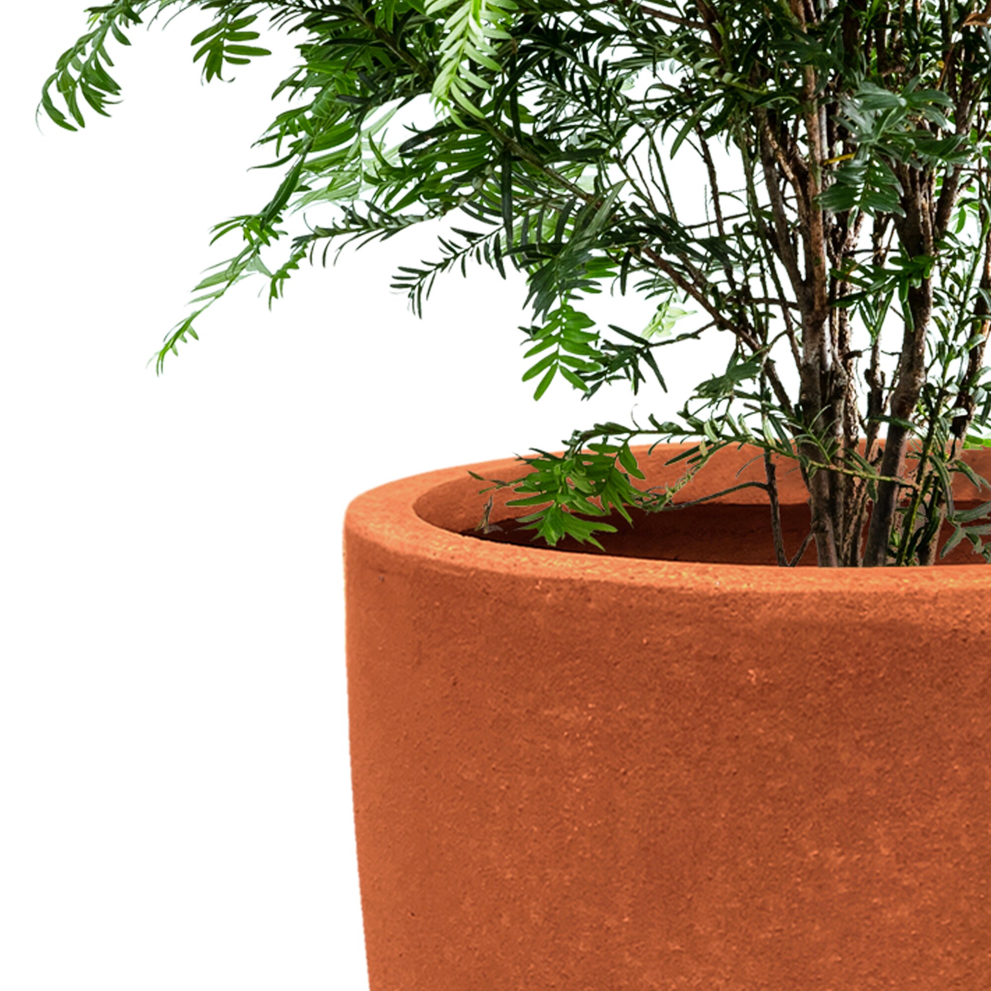 KANTE RC0119B-C60121 Planter-Window-Box - View #4