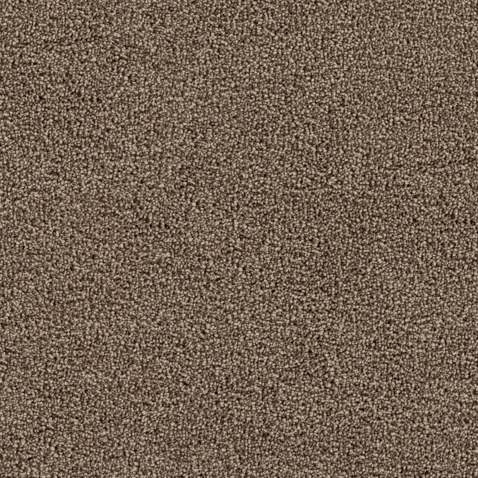STAINMASTER STP43-12-L010 Soothing space I Montebello Brown 45-oz sq yard Polyester Textured Indoor Carpet
