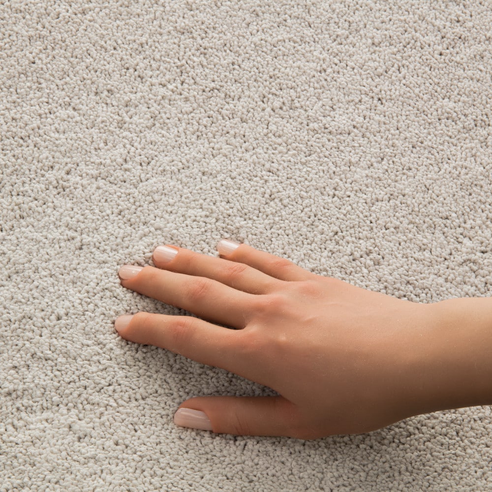 STAINMASTER PetProtect 7L970-101-SAMP Carpet-Samples - View #4