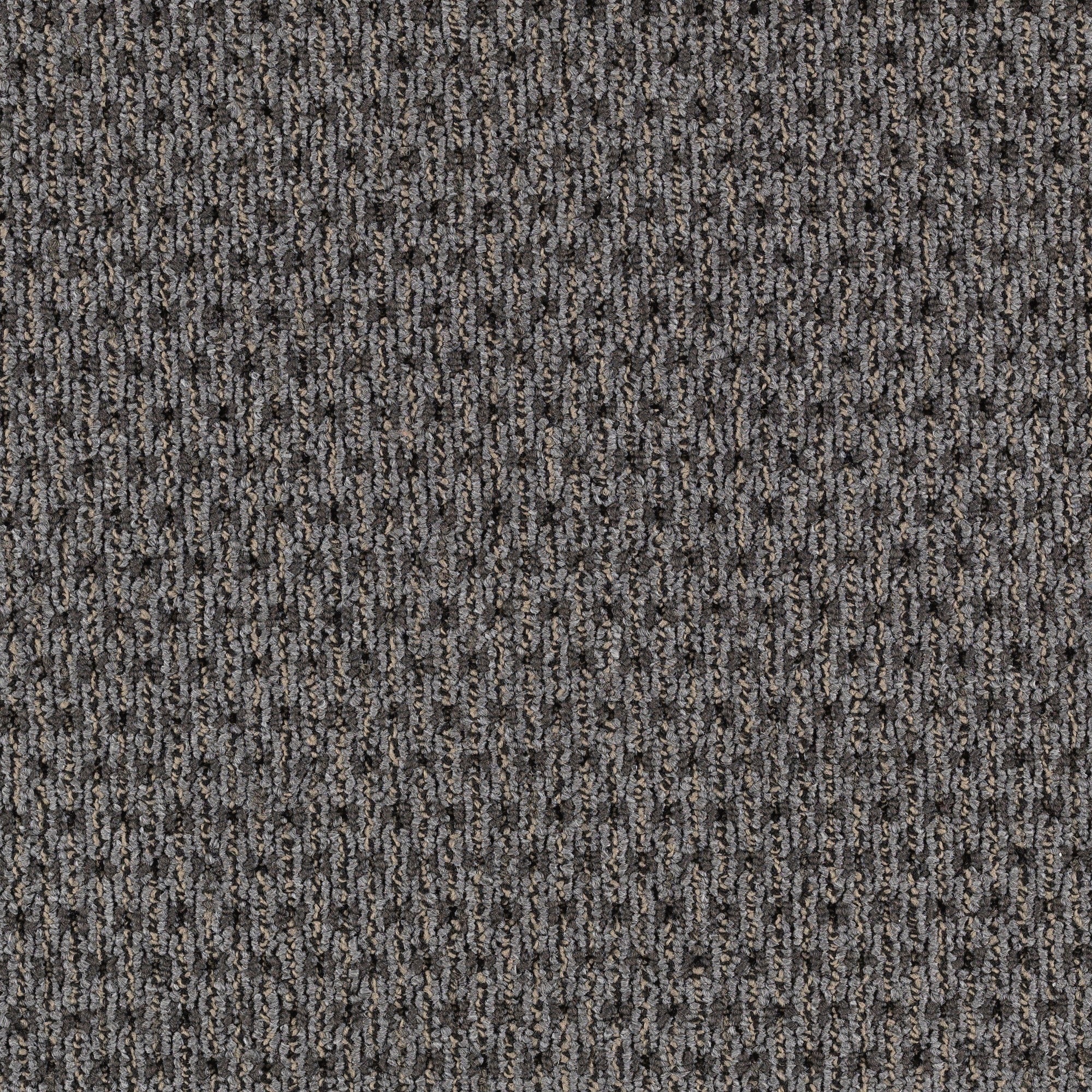 Mohawk LC47-L008-0808 (Sample) Home and Office Dine In Smokey Gray 22-oz sq yard Nylon Textured Indoor Carpet