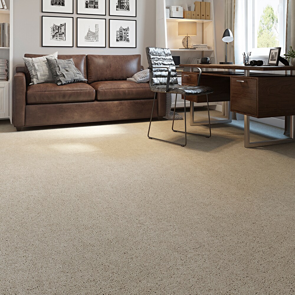STAINMASTER STP43-12-L001 Carpet-Panel - View #3