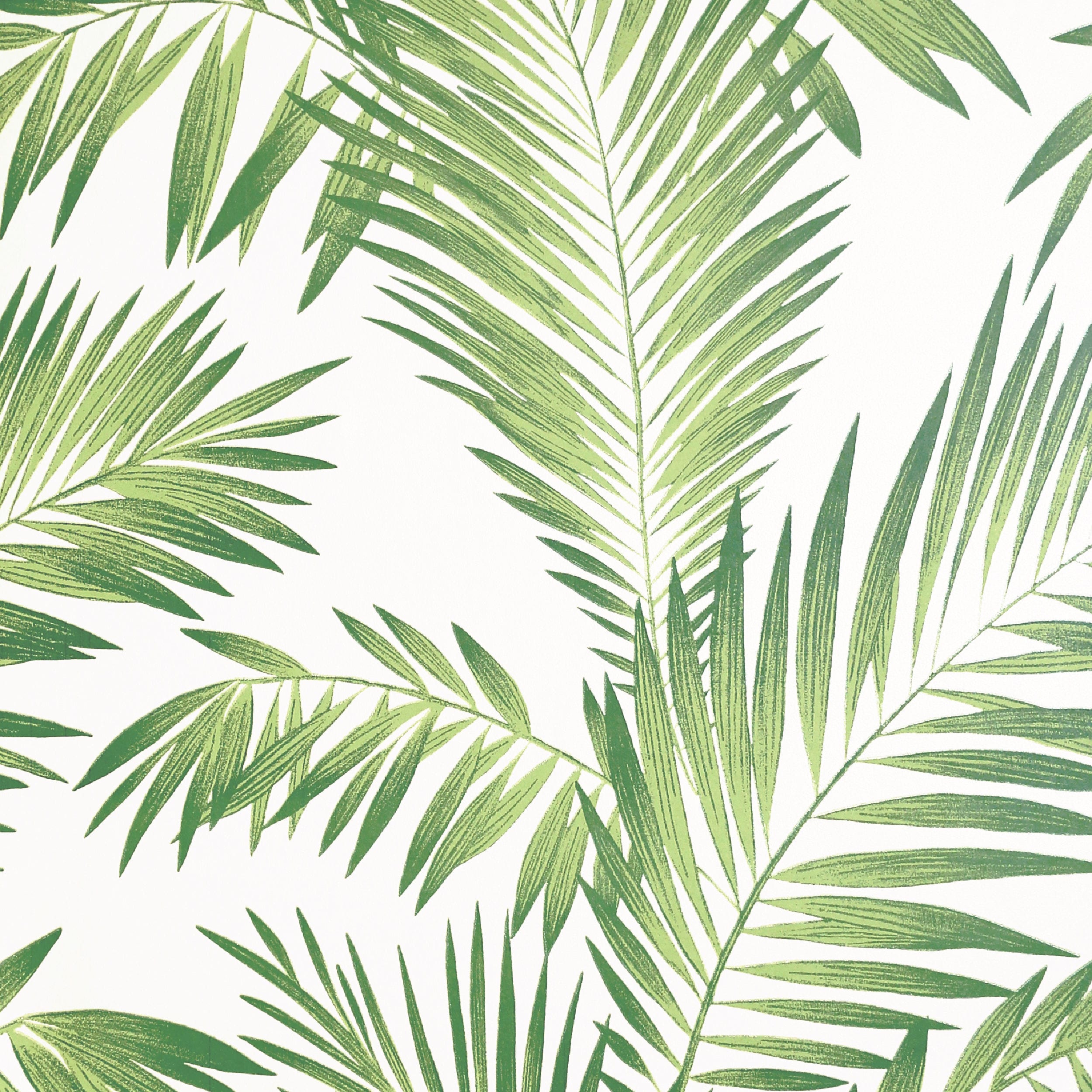 Arthouse Tropical Palm Green NonWoven Peel and Stick Wallpaper in the  Wallpaper department at Lowescom