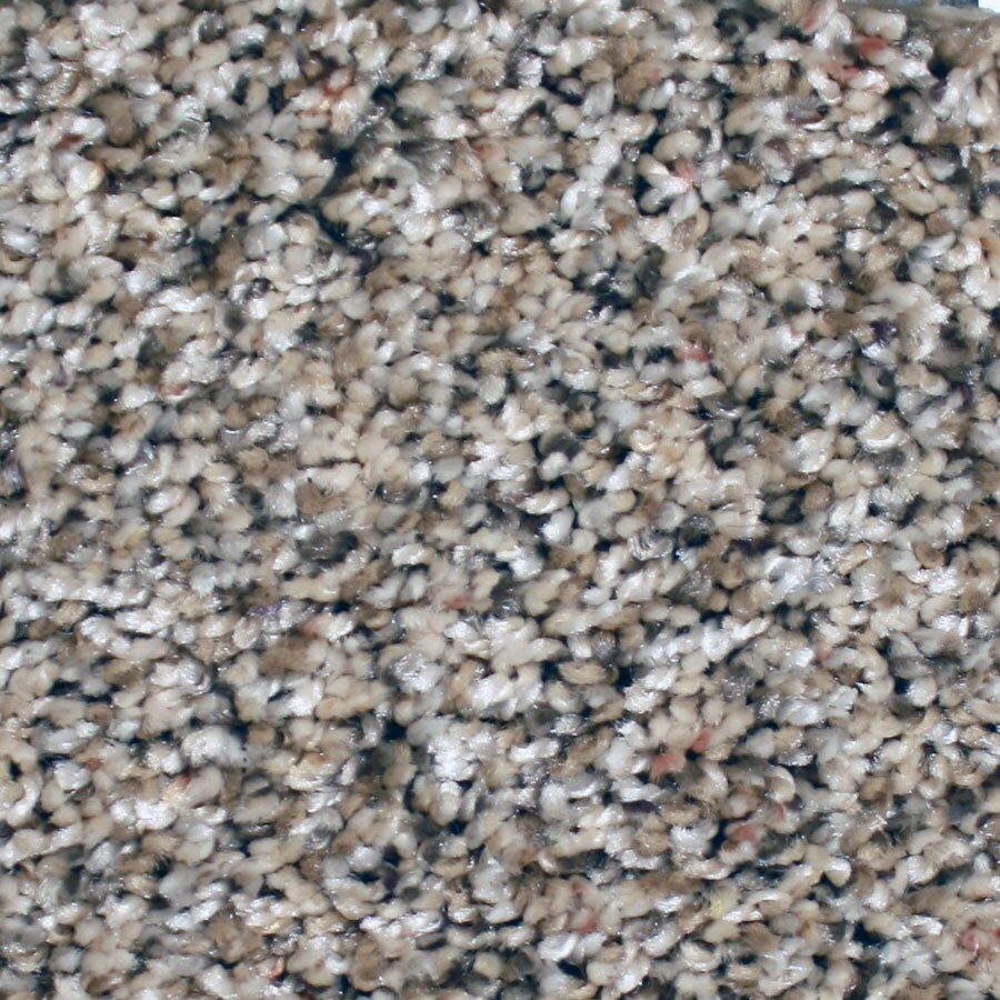 STAINMASTER S671699FUN FUSI-SION (Sample) Essentials Ventura Fun Fusion Textured Carpet