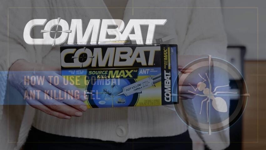 A thumbnail for the video