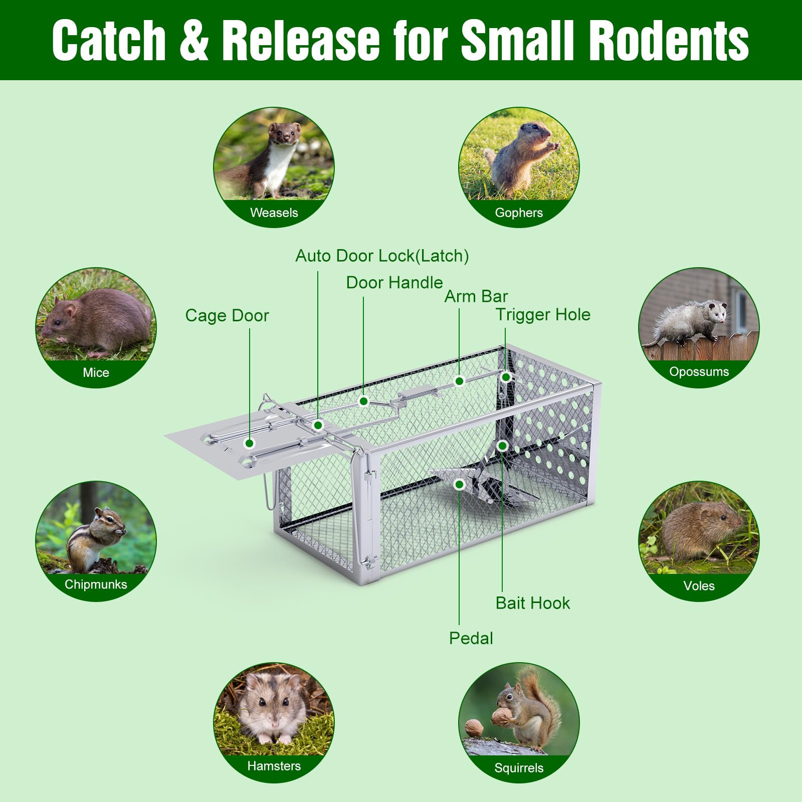 AOIZGMY Humane Rat Trap 12 Inch Live Animal Cage for Mouse Chipmunk ...