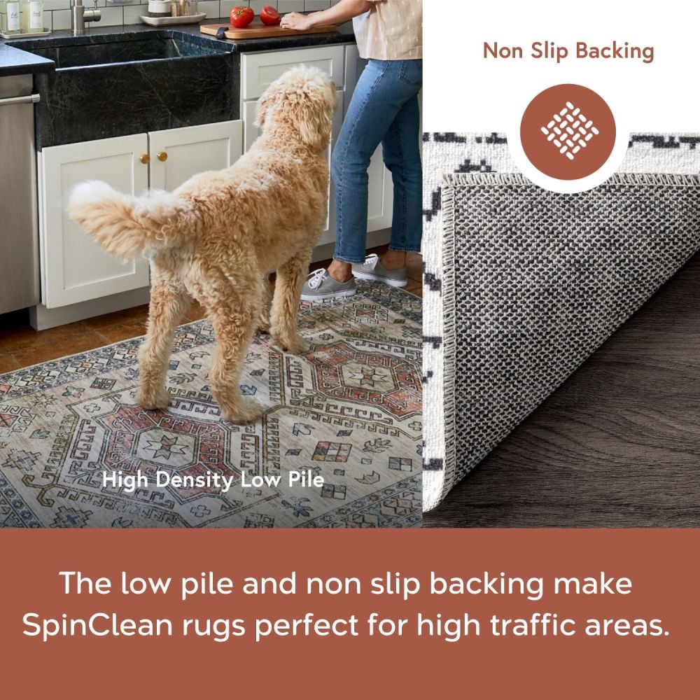 Ivory and Black Machine Washable Moroccan Area Rug