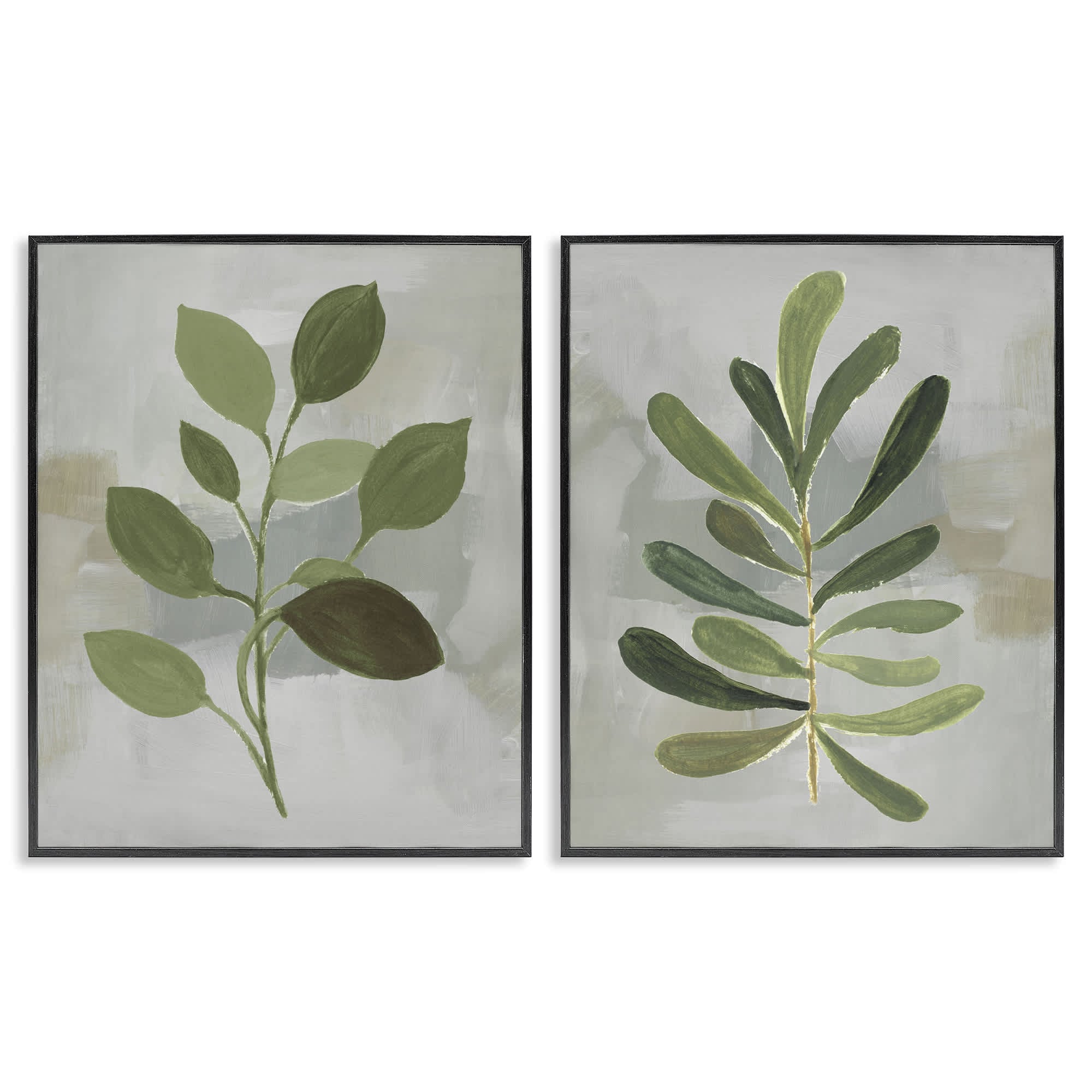 Stupell Industries B2-813-FR-2PC-11X14 Green Leaf Branches on Grey 2 Piece Black Framed Giclee Art Set By Lanie Loreth 11 x 14
