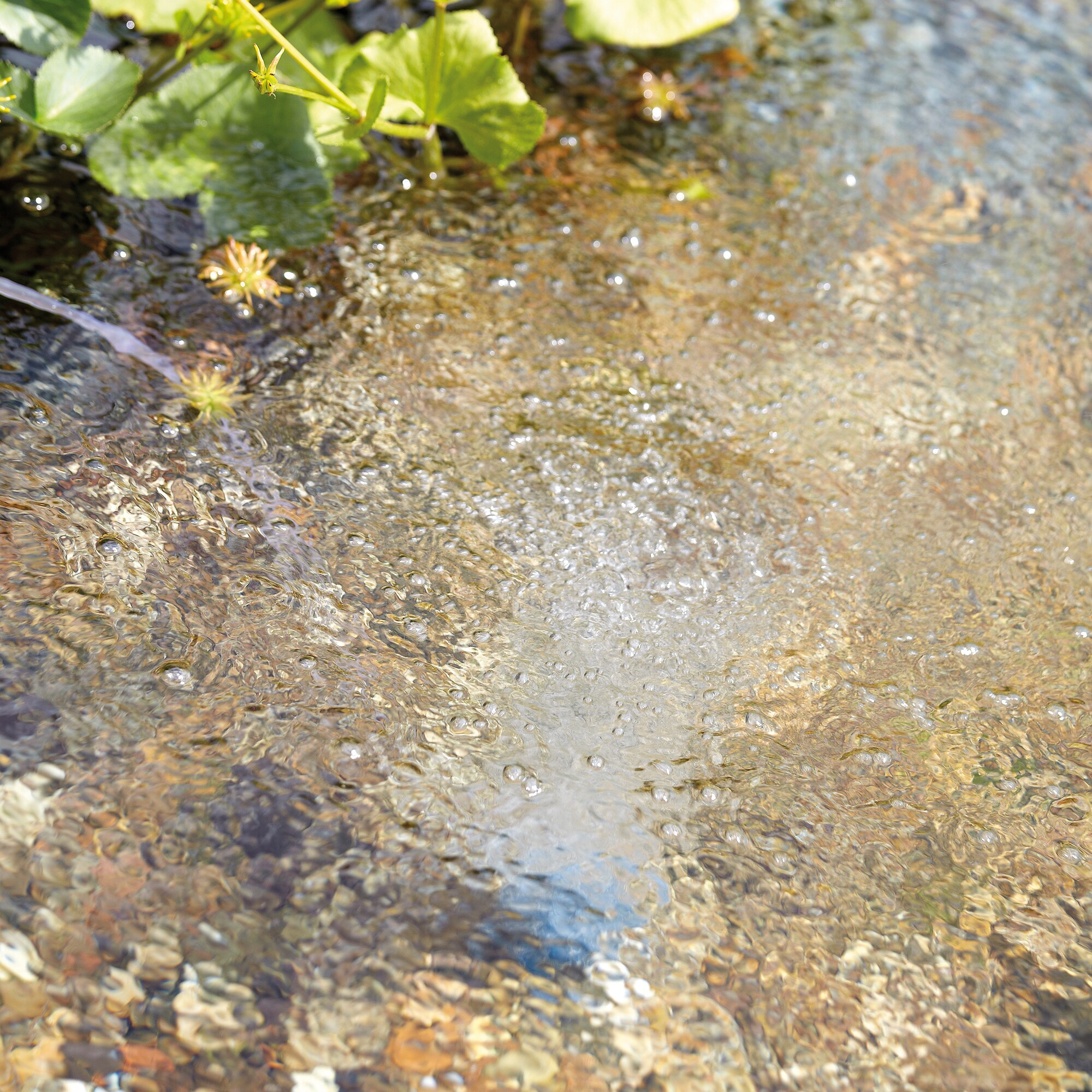 OASE 50041 Pond-Accessories - View #4