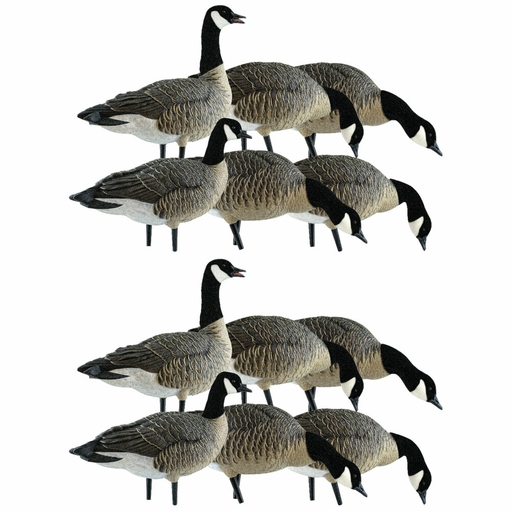  Avian X 408551 28.5 x 18 x 16.5 Inche(s) Decoy 2 -Pack