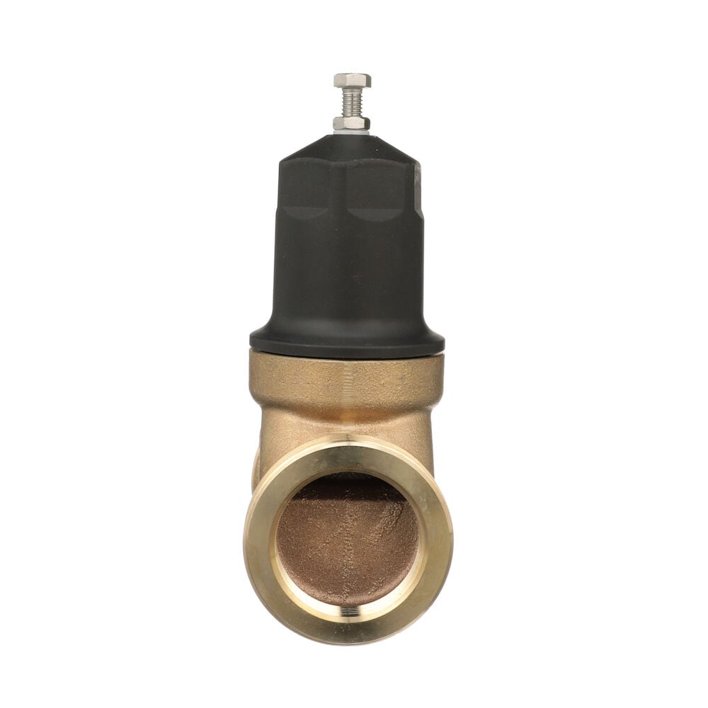 Zurn Wilkins 2-NR3XLDULU Pressure-Relief-Valves-Regulators - View #6